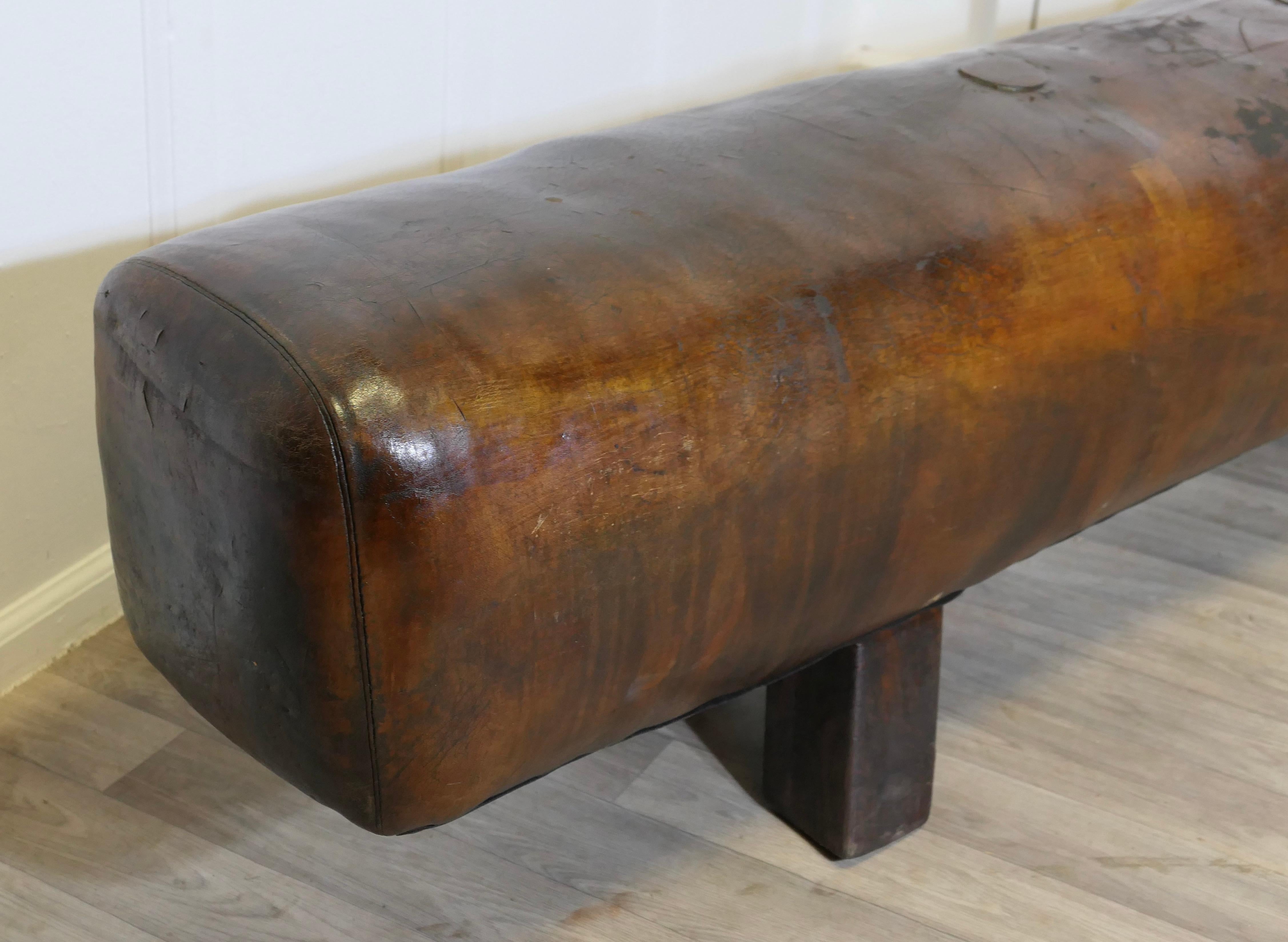 A Long Leather Pommel Horse Bench Seat  A handsome leather pommel horse from Fra For Sale 2