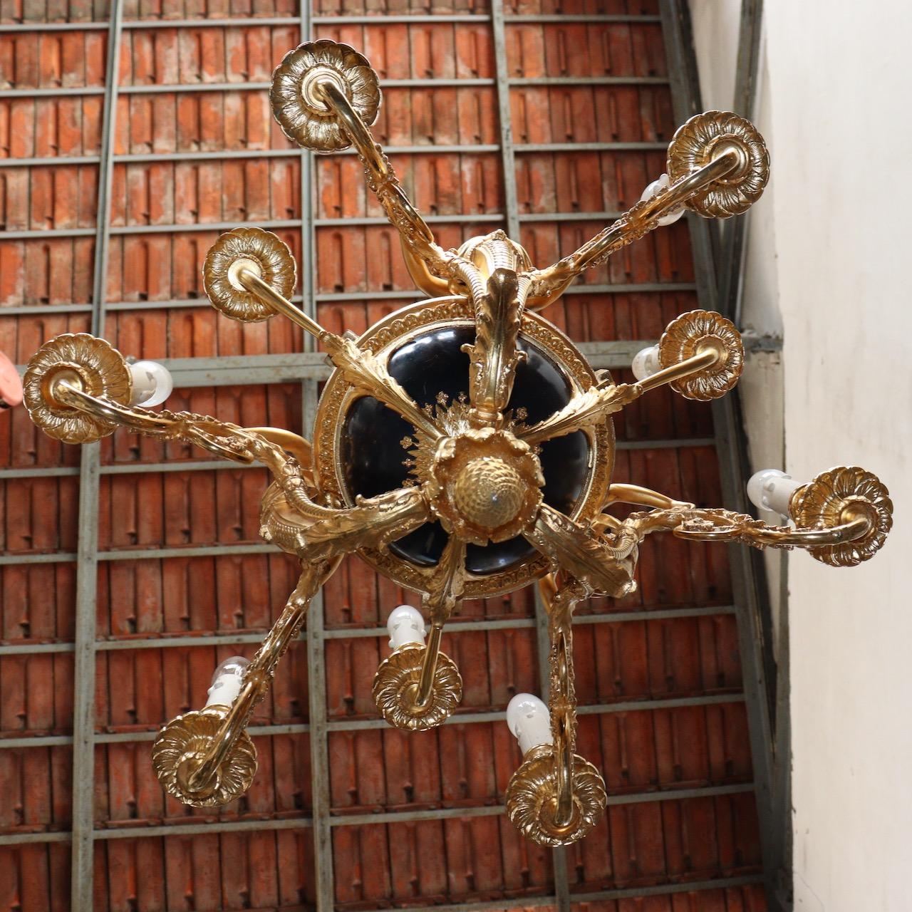 Araña de 6 luces 