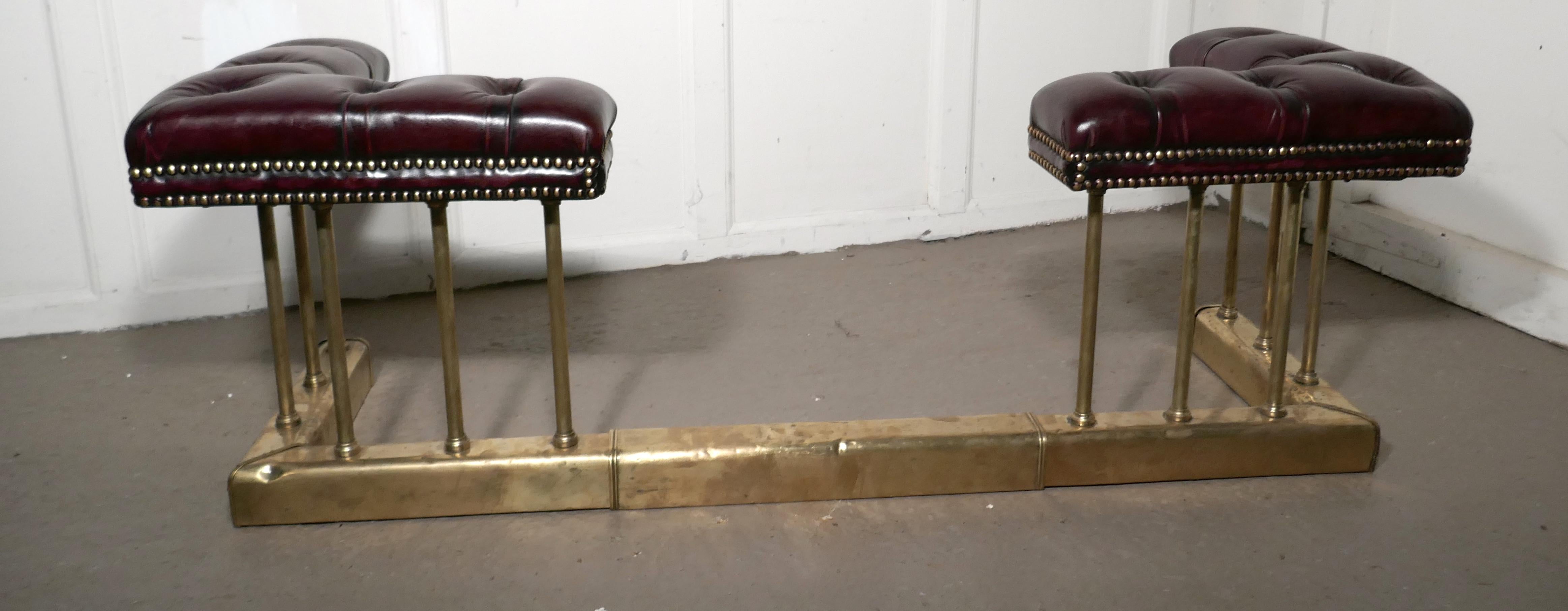 19th Century Lovely Old Adjustable Brass and Leather Club Fender