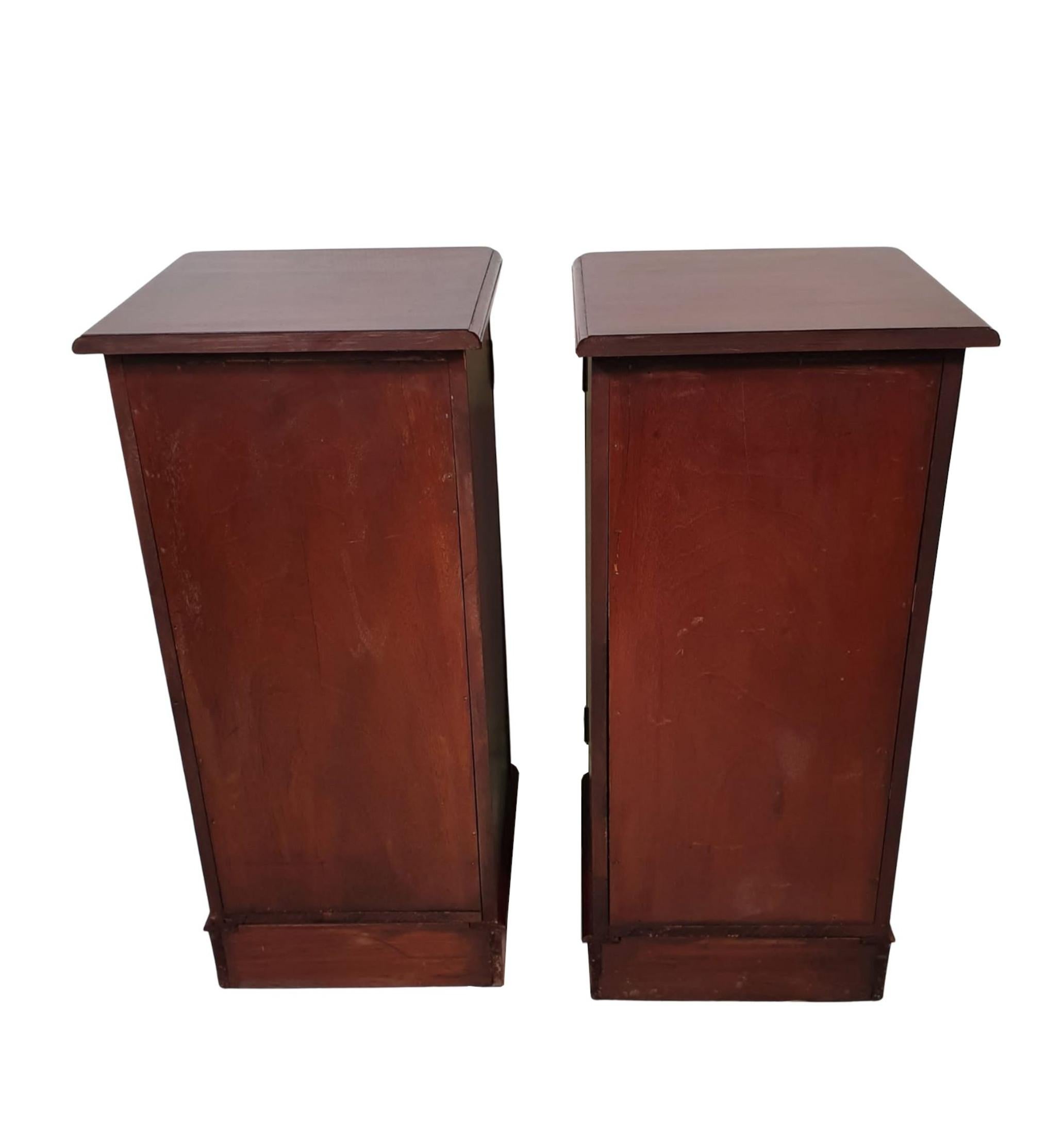 Lovely Pair of 19th Century Bedside Cupboards In Good Condition For Sale In Dublin, IE