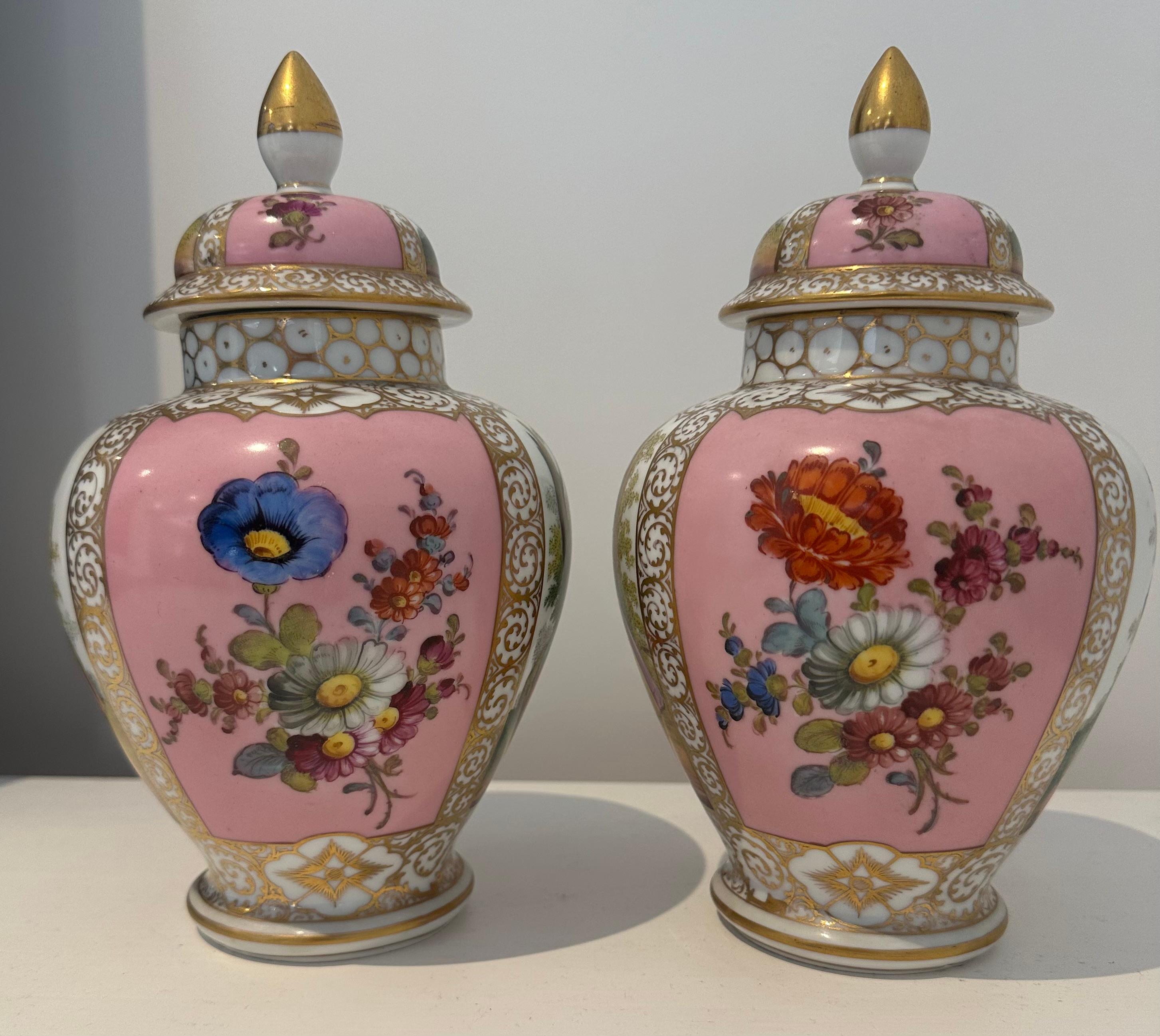 19th Century A lovely pair of Dresden porcelain lined vases For Sale