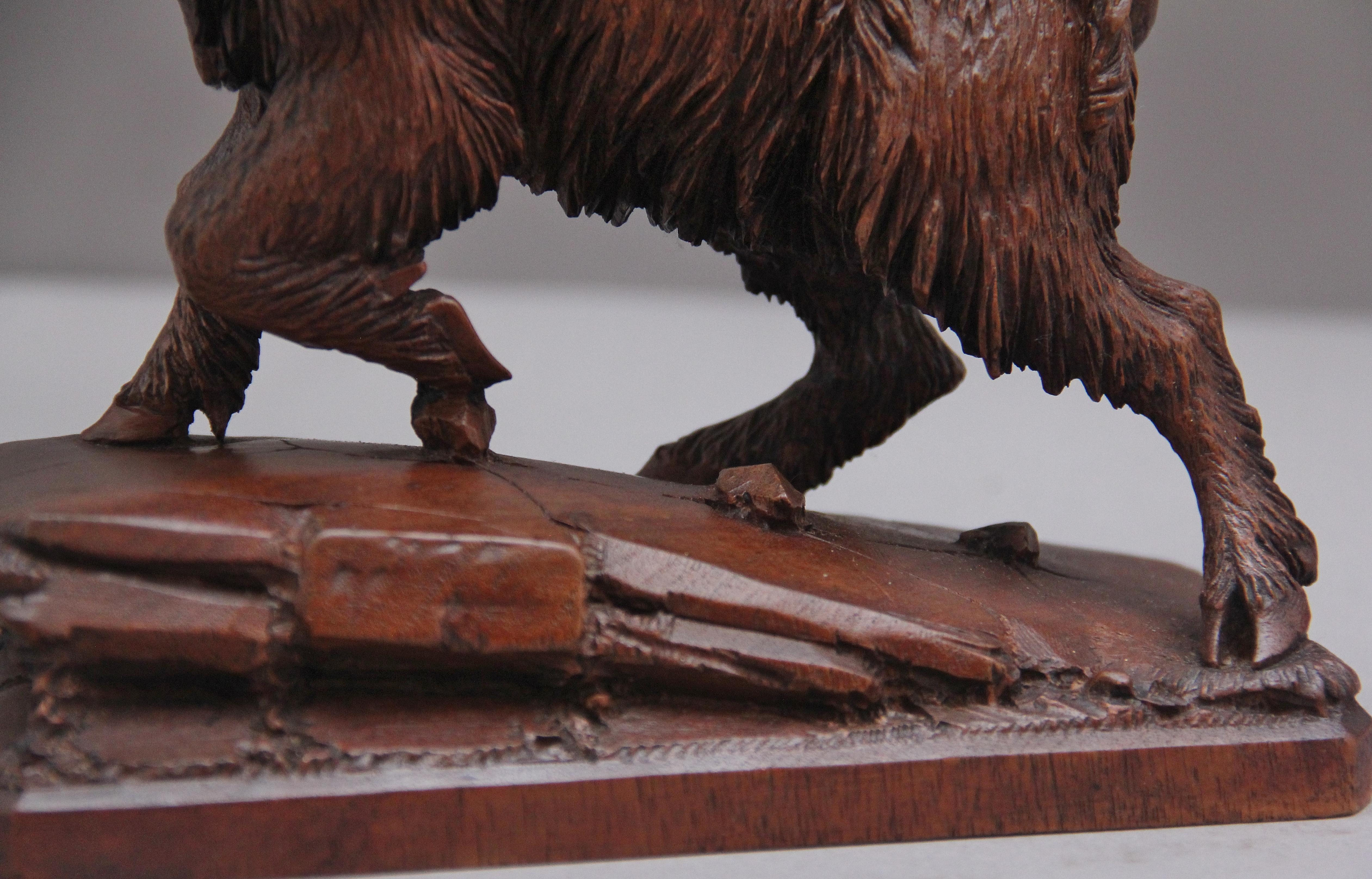 Lovely Quality 19th Century Black Forest Carving of a Wild Boar 4