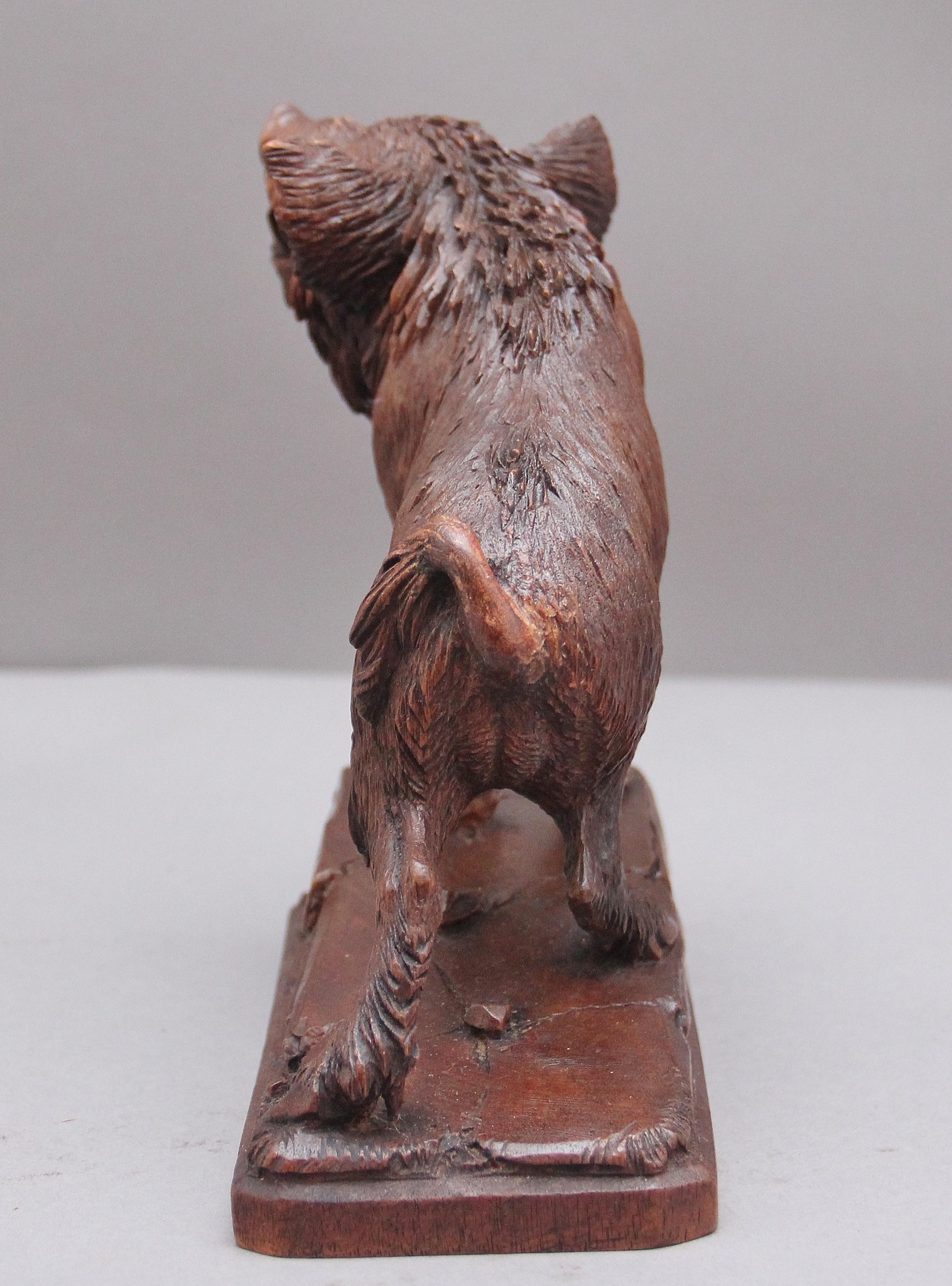 Walnut Lovely Quality 19th Century Black Forest Carving of a Wild Boar