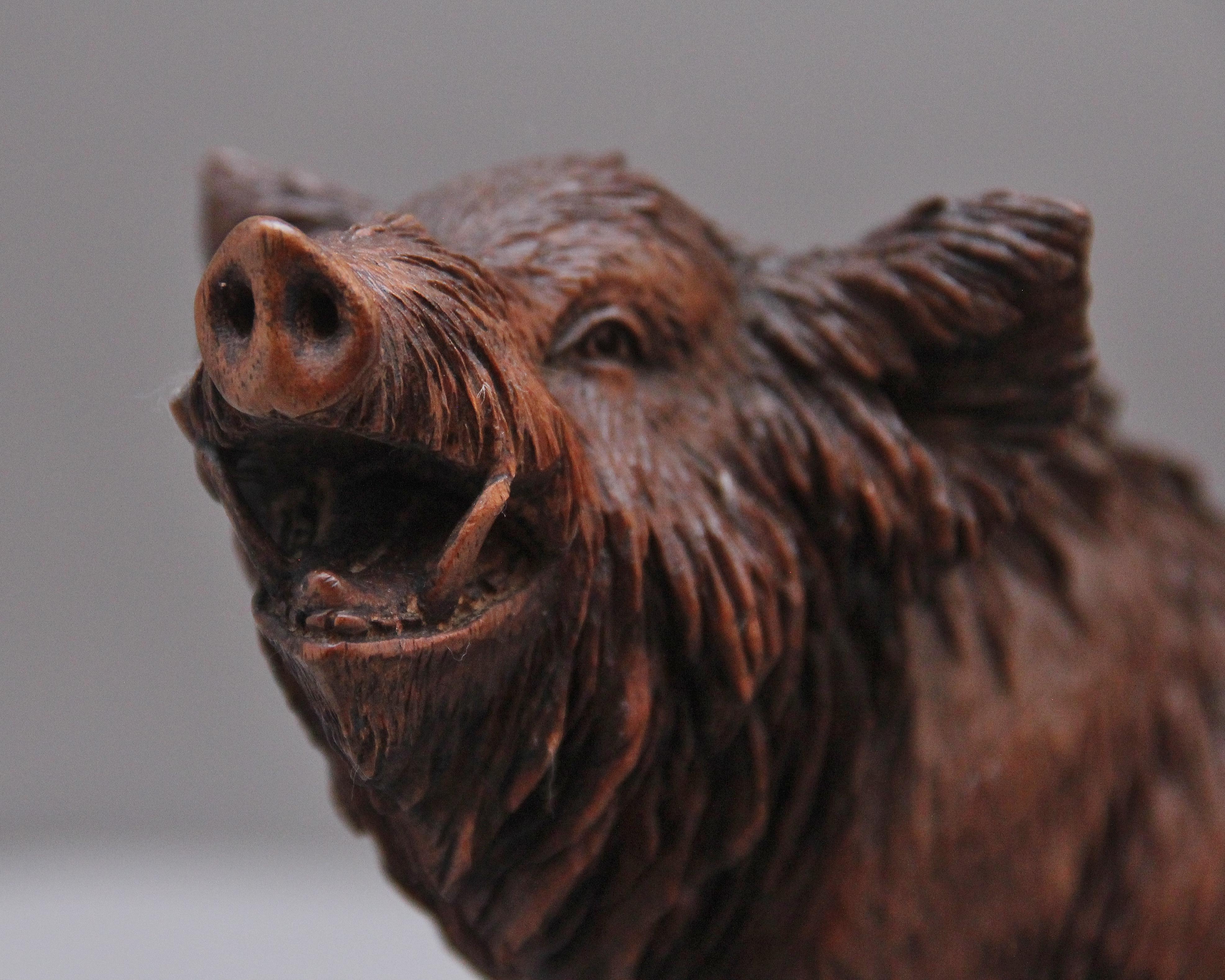 Lovely Quality 19th Century Black Forest Carving of a Wild Boar 2