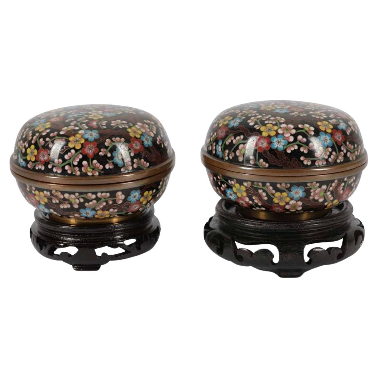 A Magnificent Pair of Japanese Cloisonne Enamel Kogo Boxes and cover. Meiji peri For Sale