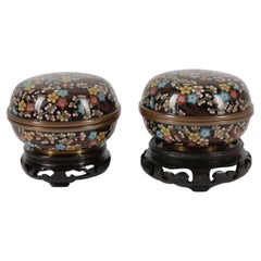 Magnifique paire de boîtes et couvercle Kogo japonaises en émail cloisonné Meiji peri