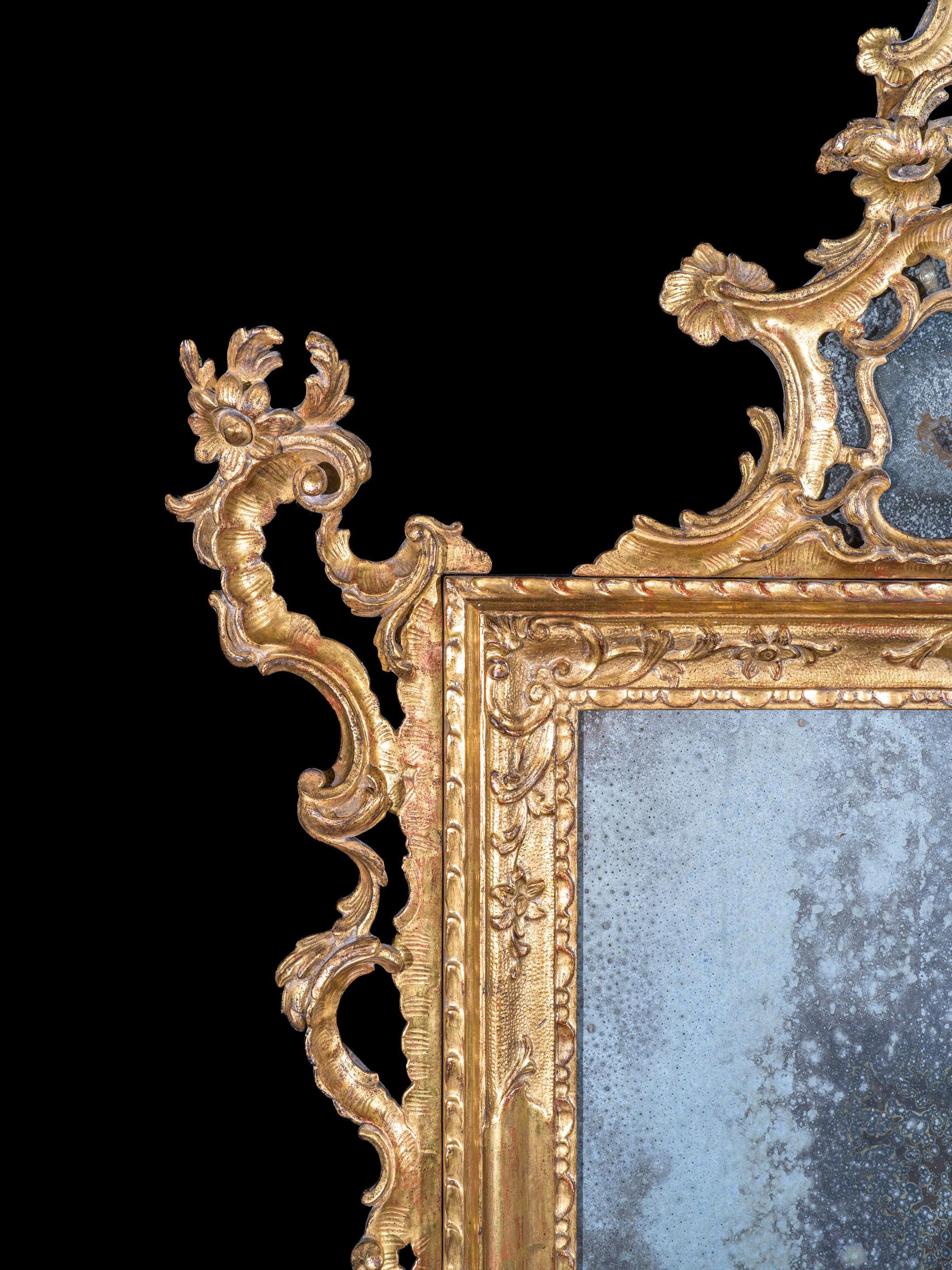 An exceptionally fine and rare pair of Venetian giltwood mirrors or pier glasses. Mirrors of this type, especially those in an original pair are vanishingly rare. Their gilded giltwood frames take an organic form, the whole carved with rocaille,