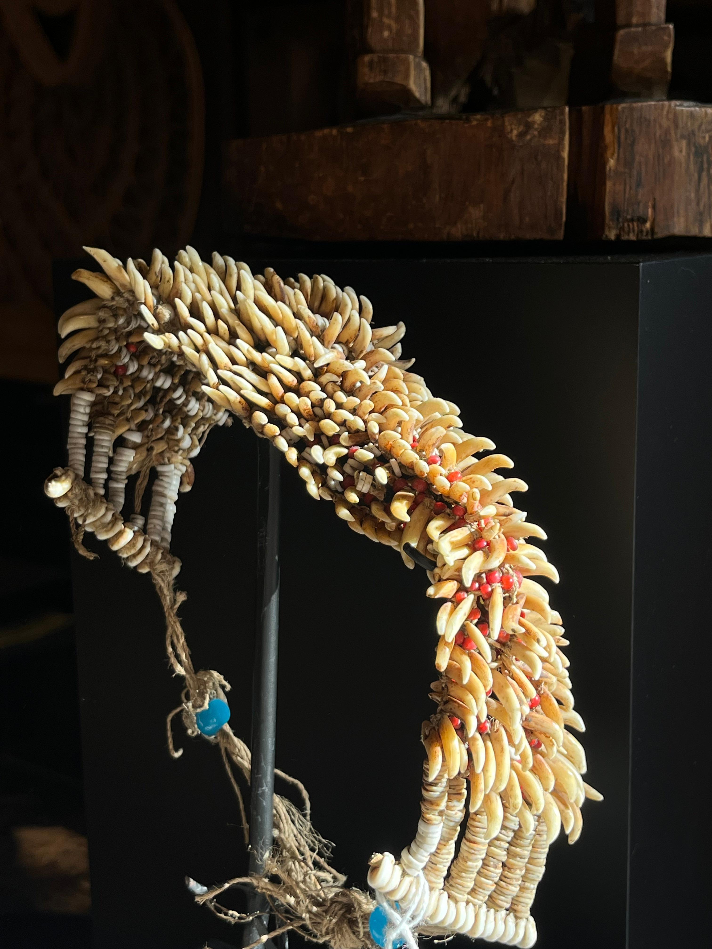 Papua New Guinea, late 19th/early 20th century

Male ceremonial 'armband' made of bat teeth drilled and tied in a double row to a woven band of palm fibre.

