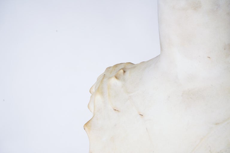 Marble Bust of a Woman 9
