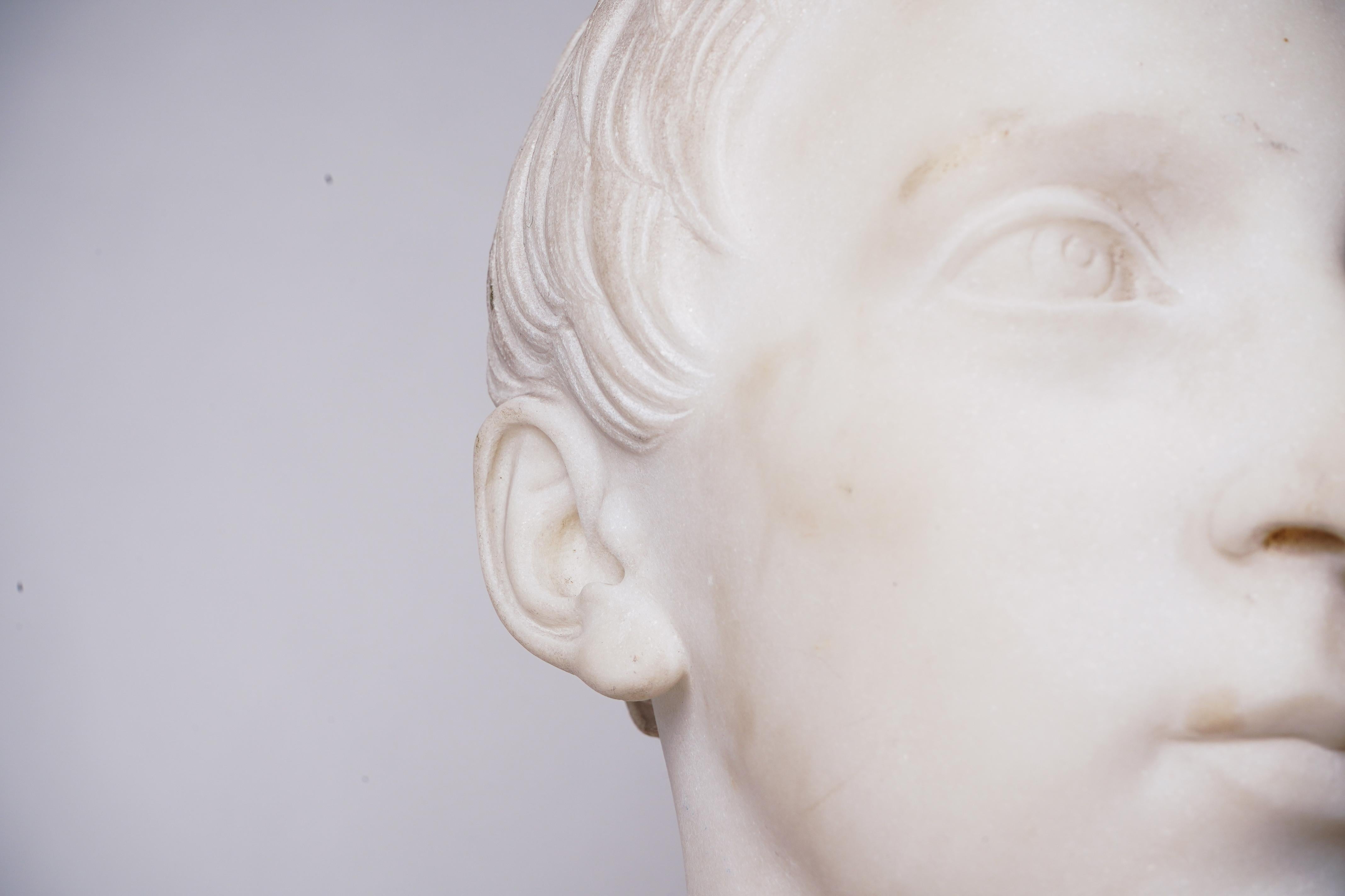 Marble Bust of a Young Man 5