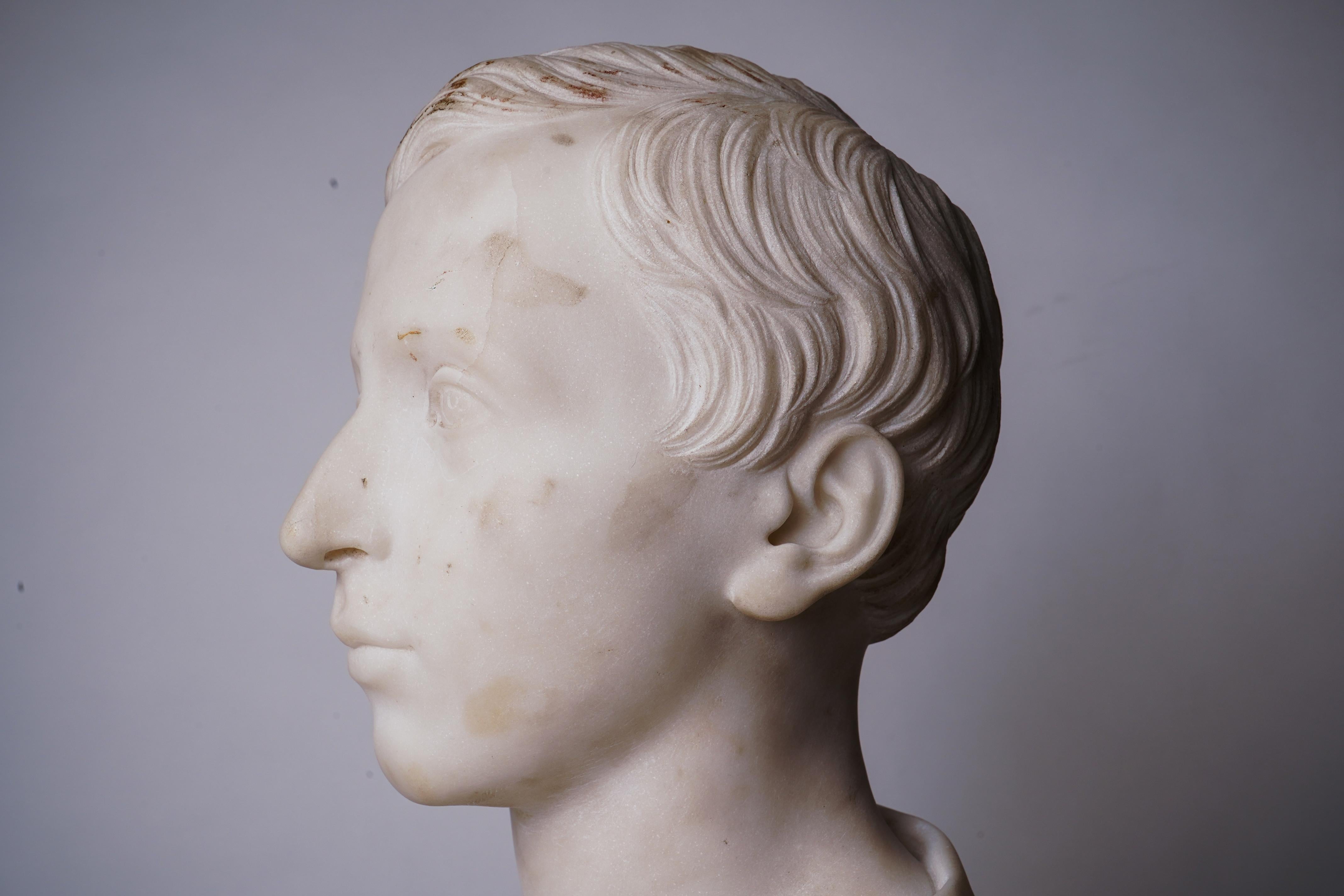 Marble Bust of a Young Man 7