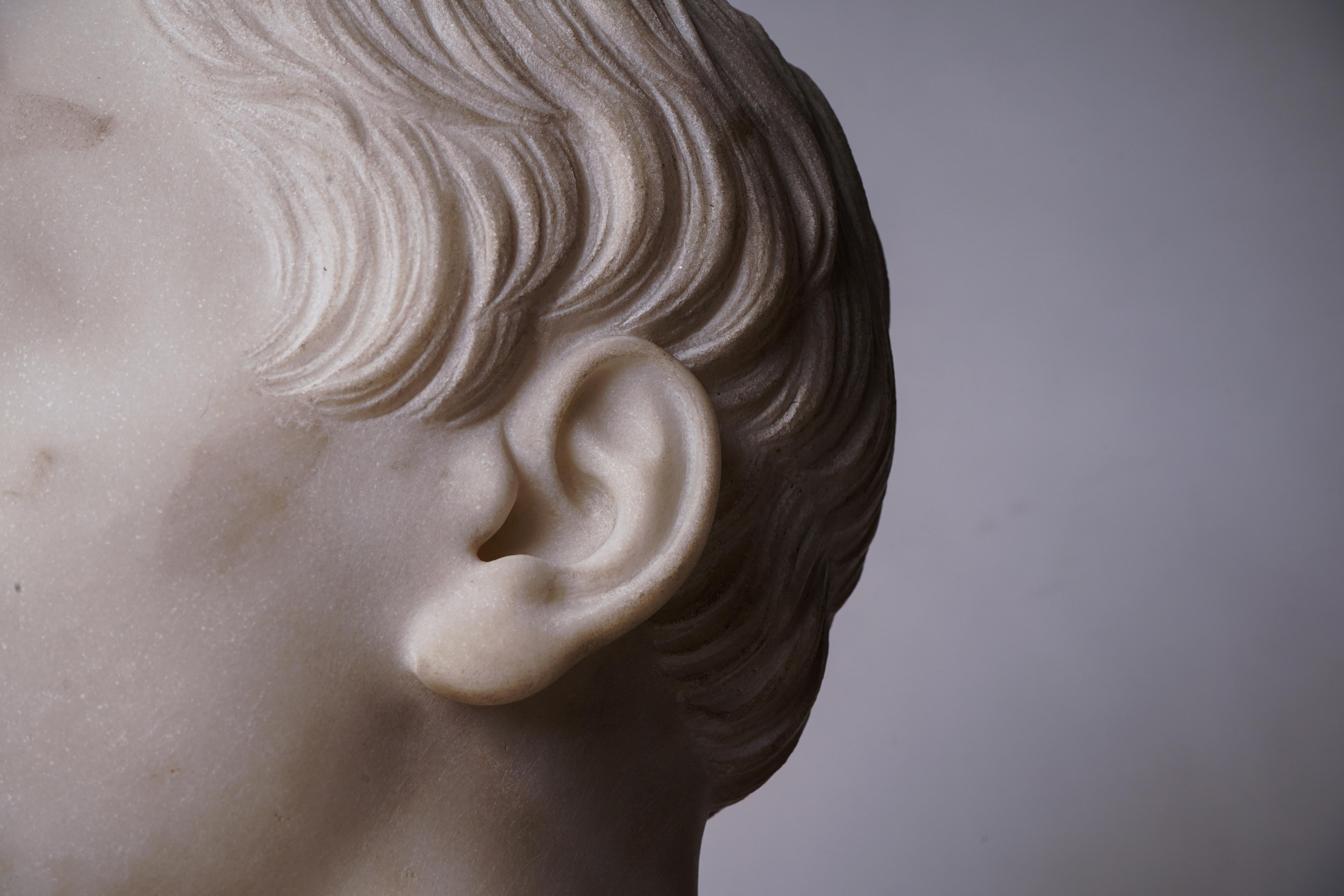Marble Bust of a Young Man 8