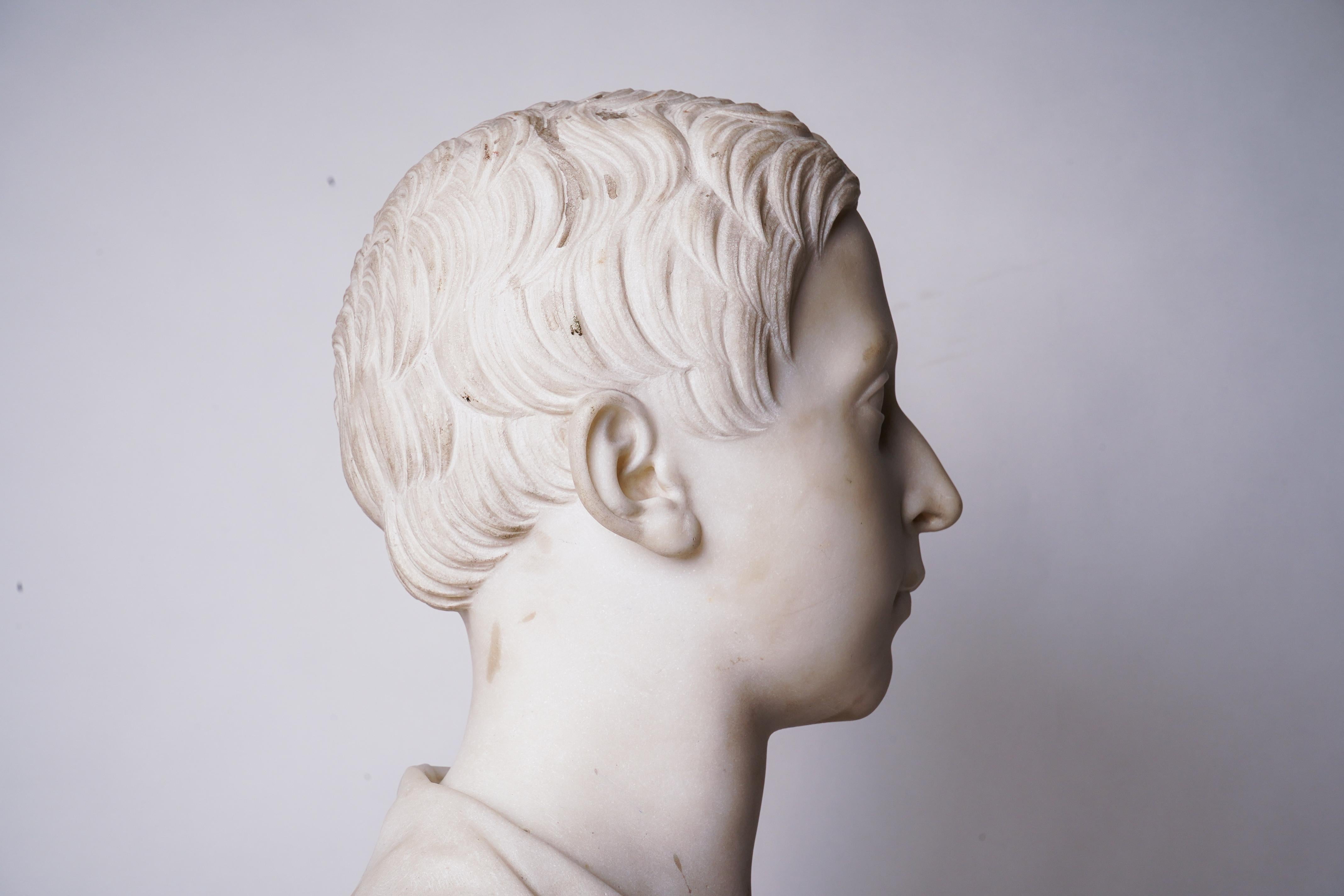 Marble Bust of a Young Man 12