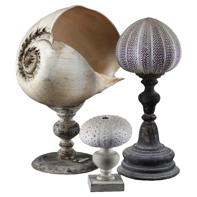 Vintage Nautical Objects - 712 For Sale at 1stdibs | antique nautical ...