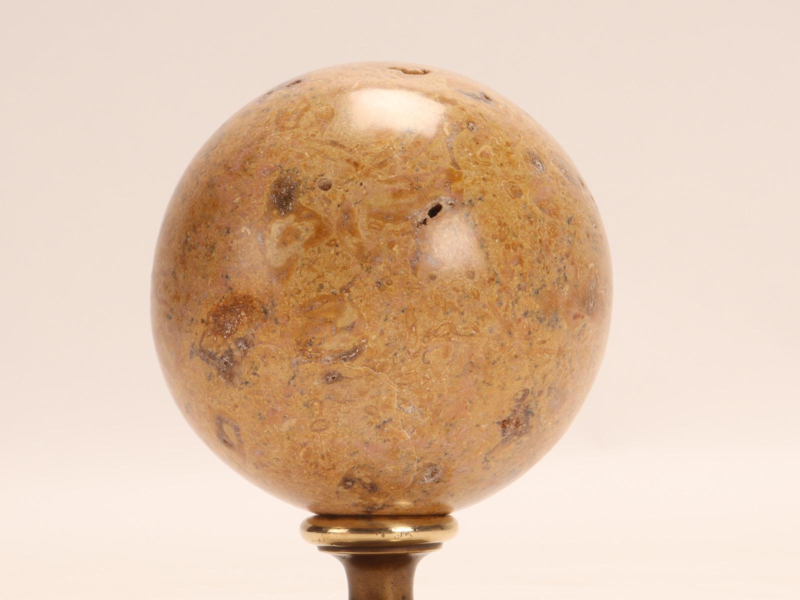 Brass A marine fossil “Mothership” sphere, Italy 1890. For Sale