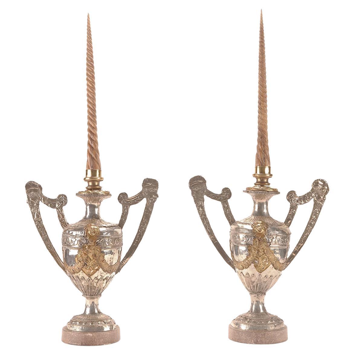 A marine specimen: pair of Marlin rostrum. Italy 1800.  For Sale