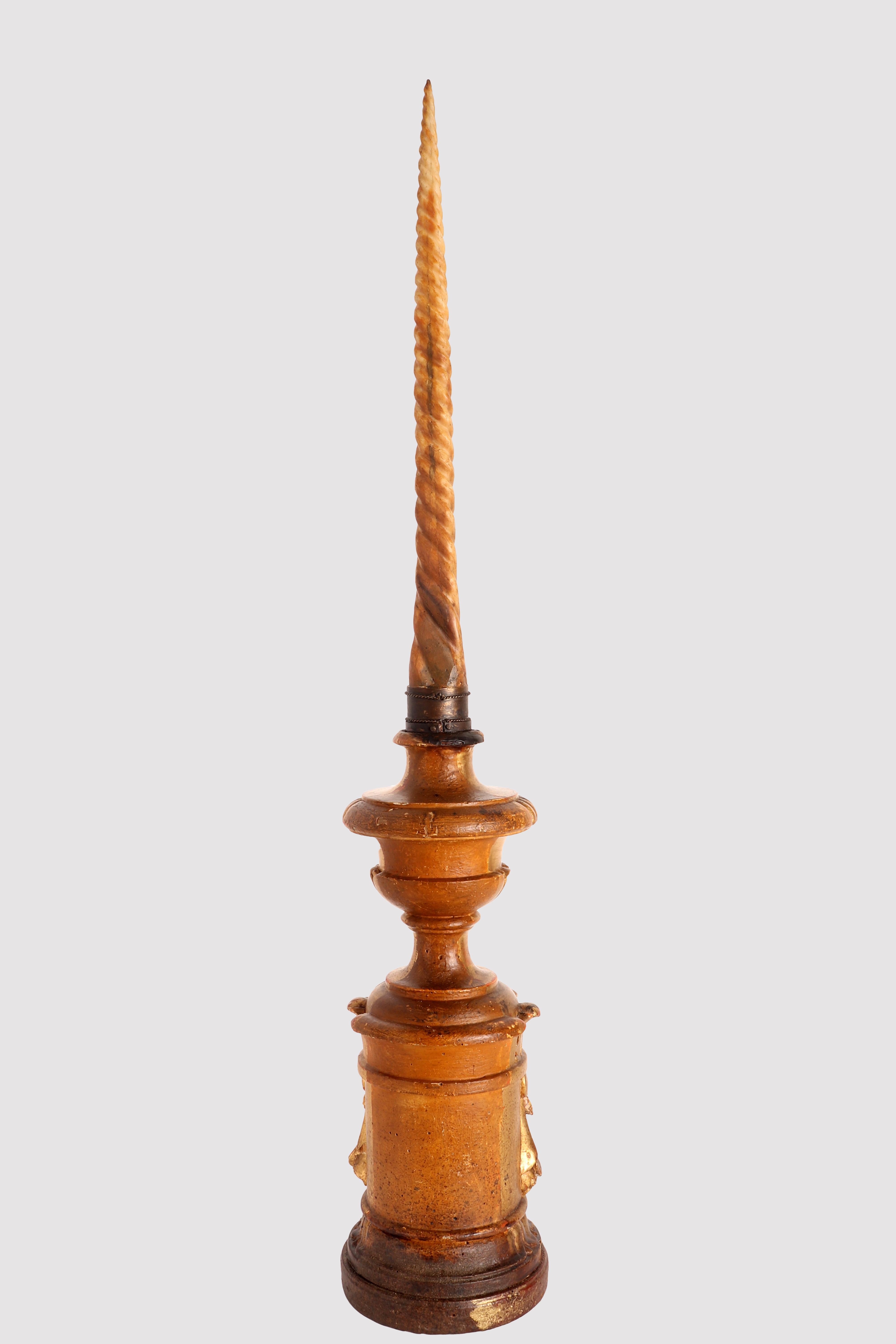 Marine Specimen: Pair of Marlin Rostrum to Emulate the Narwal Tusk, Italy 1800 5