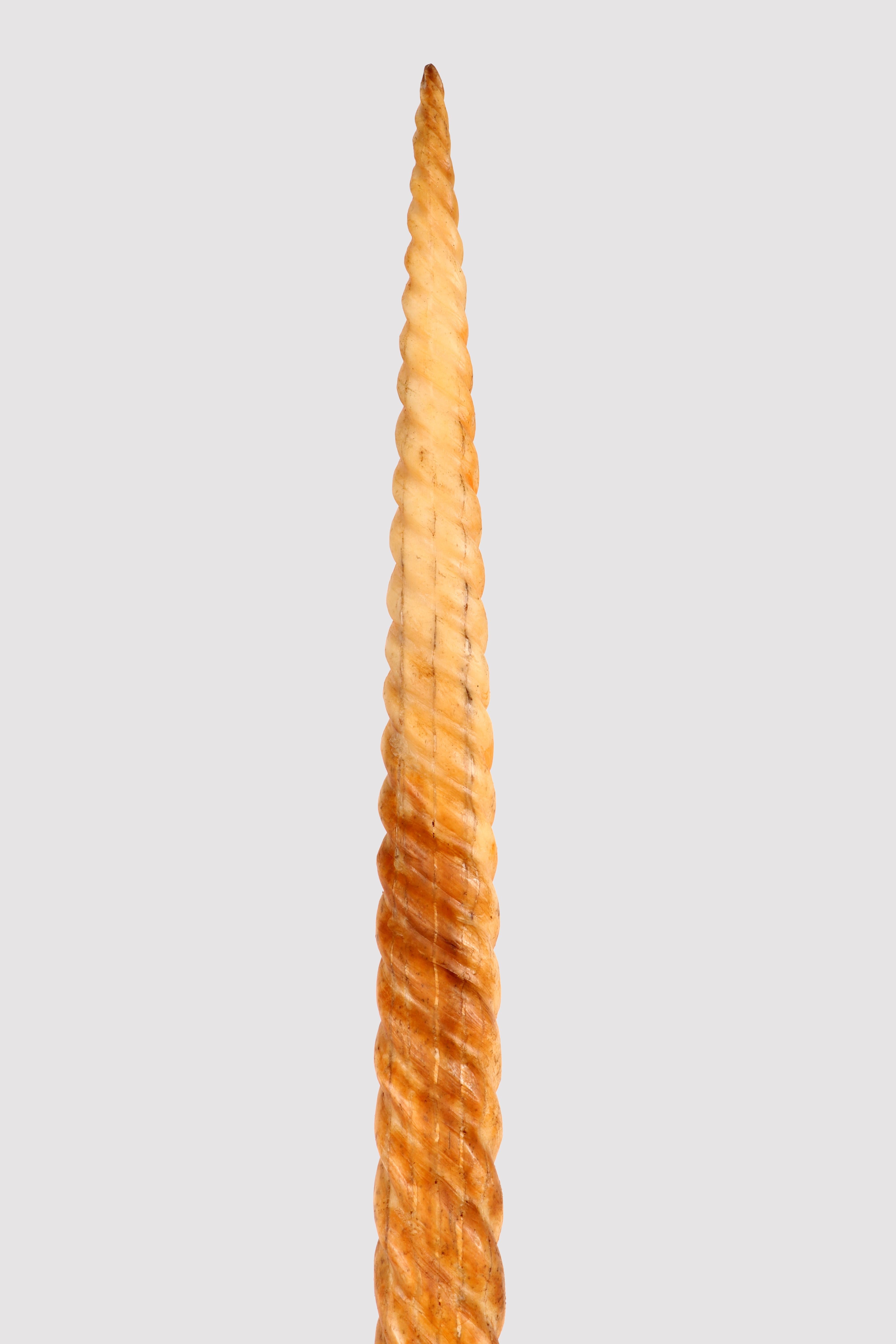 Marine Specimen: Pair of Marlin Rostrum to Emulate the Narwal Tusk, Italy 1800 6