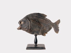 Ein Meeresgegenstand: der Piranha-Fisch, Italien 1880.