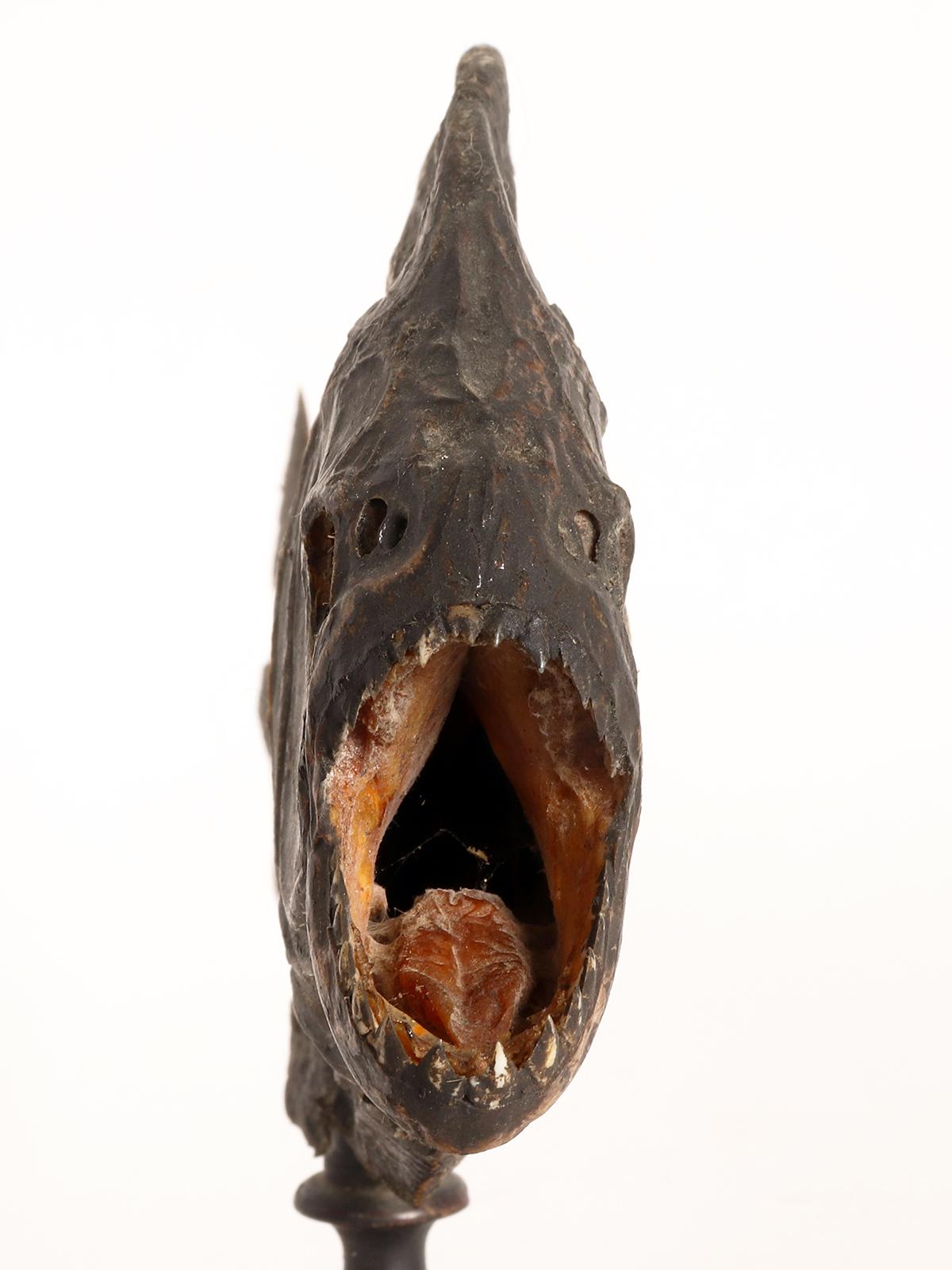Bois Un spécimen marin : le poisson piranha, Italie 1880. en vente