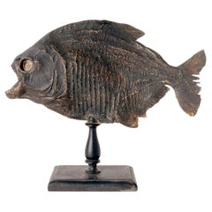 A marine specimen: the piranha fish, Italy 1880.