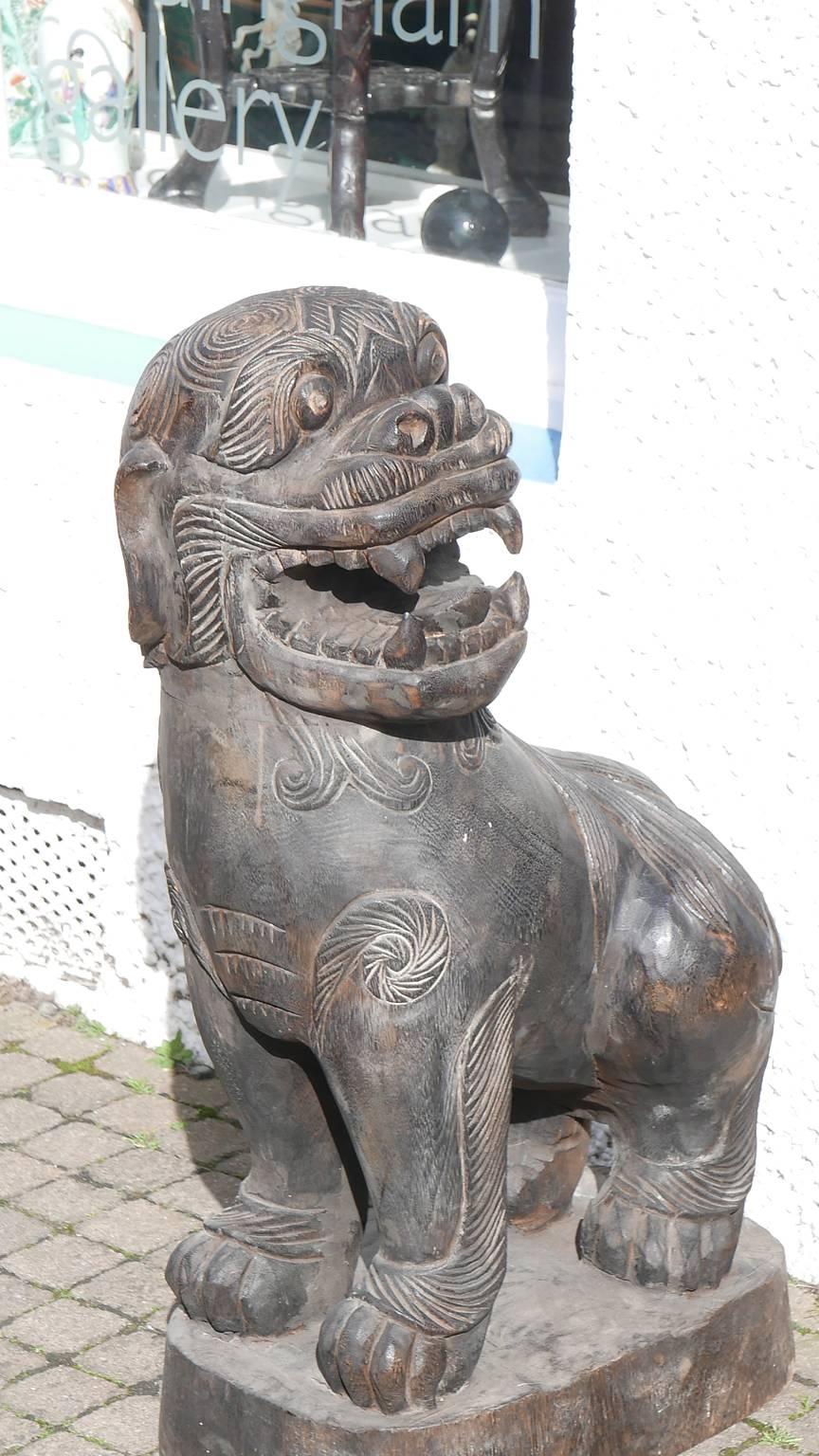 Ming Massive Chinese 19th Century Hardwood Lion Dog For Sale
