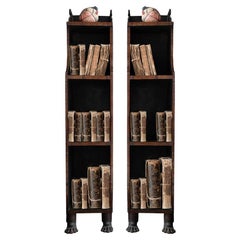 A matched pair of English 19th Century lion paw bookcases