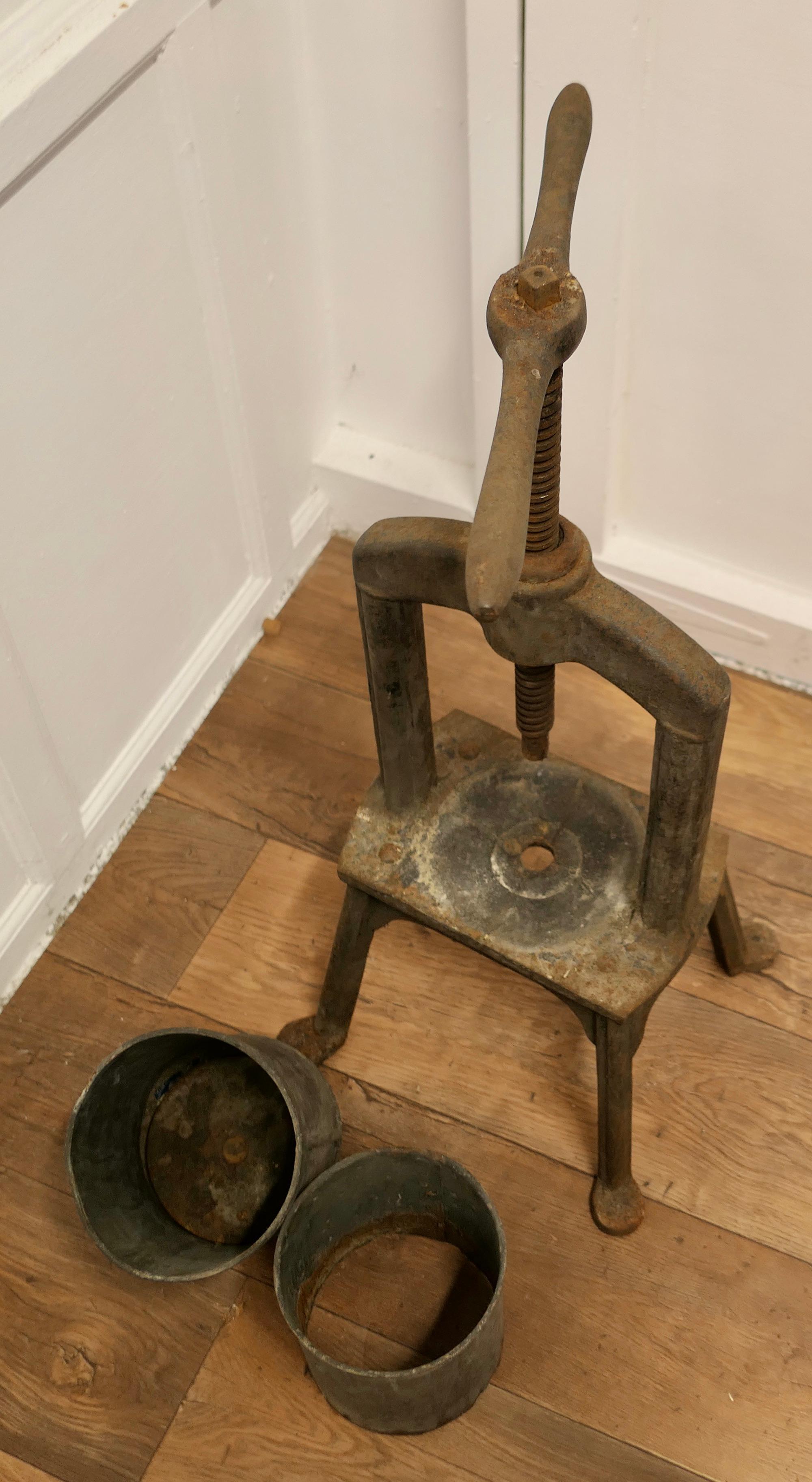 Maw and Sons 19th Century Cast Iron Tincture Press For Sale 3
