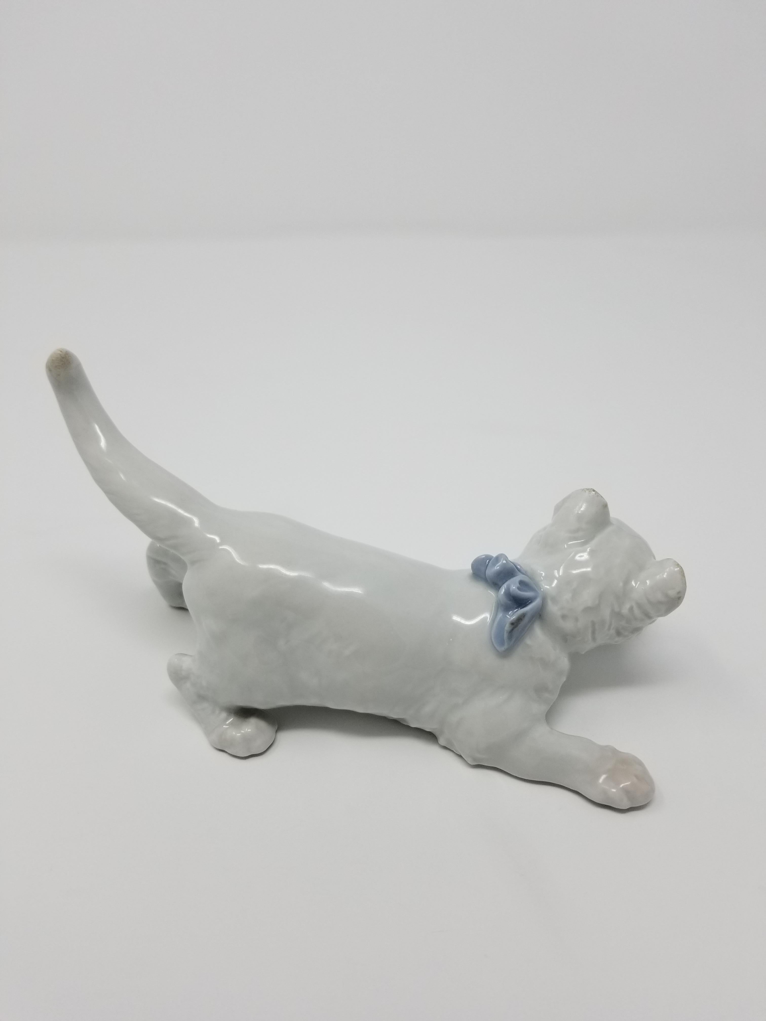 A model of a crouching kitten by Meissen, German, Modeled by Otto Jarl, 1903. The kitten is shown to have pinkish eyes with a pinkish nose and a blue bow. These delicate touches of color serve to highlight the brilliant white porcelain for which