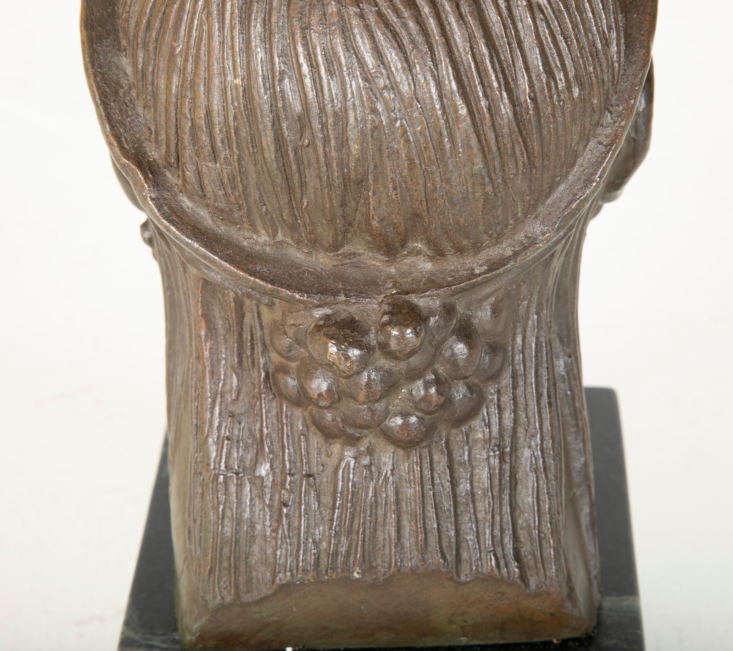 Mexican Bronze Bust, circa 1920s For Sale 4