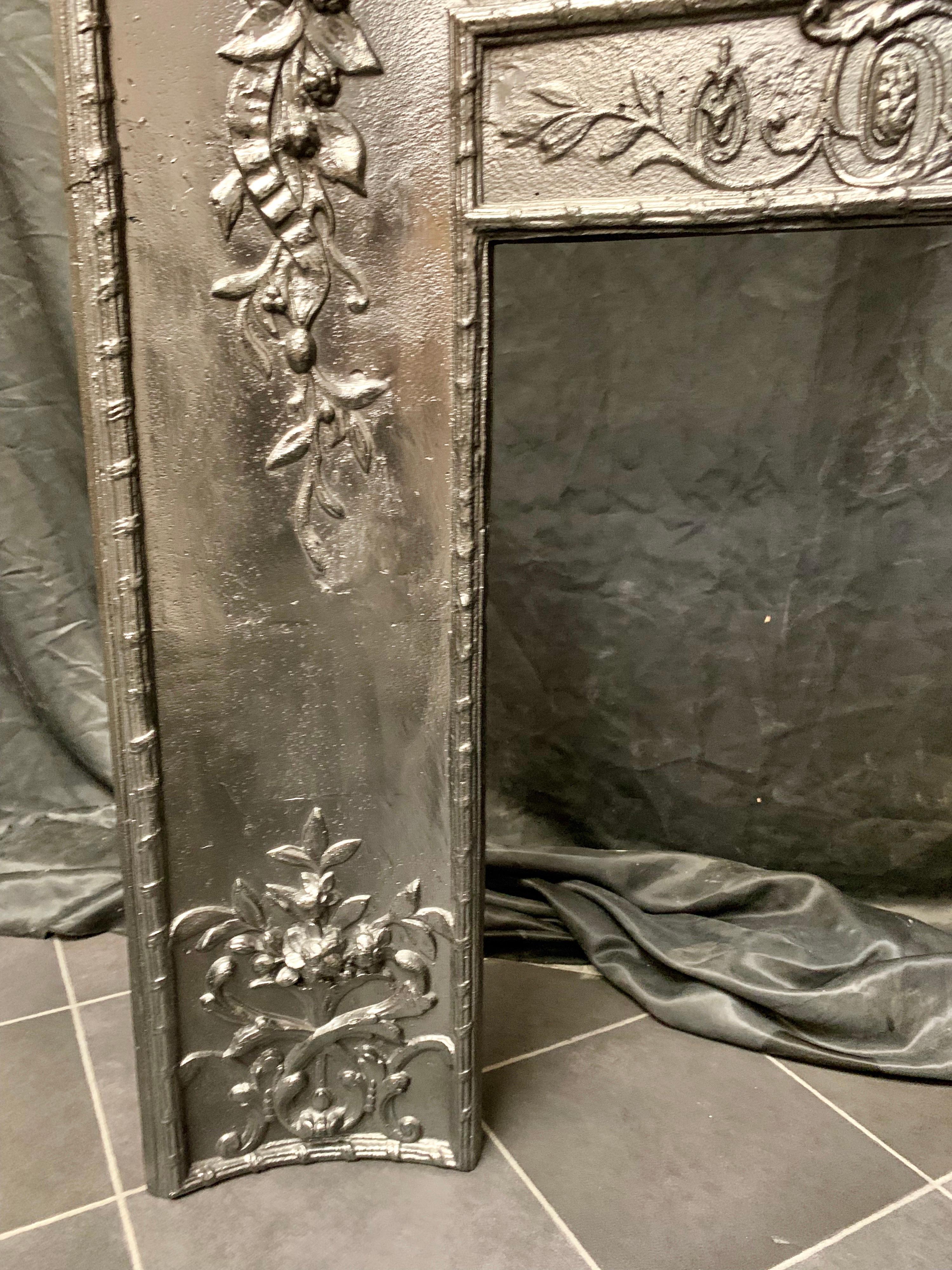Mid-19th Century French Cast Iron Foliate Fireplace Insert In Good Condition In Edinburgh, GB