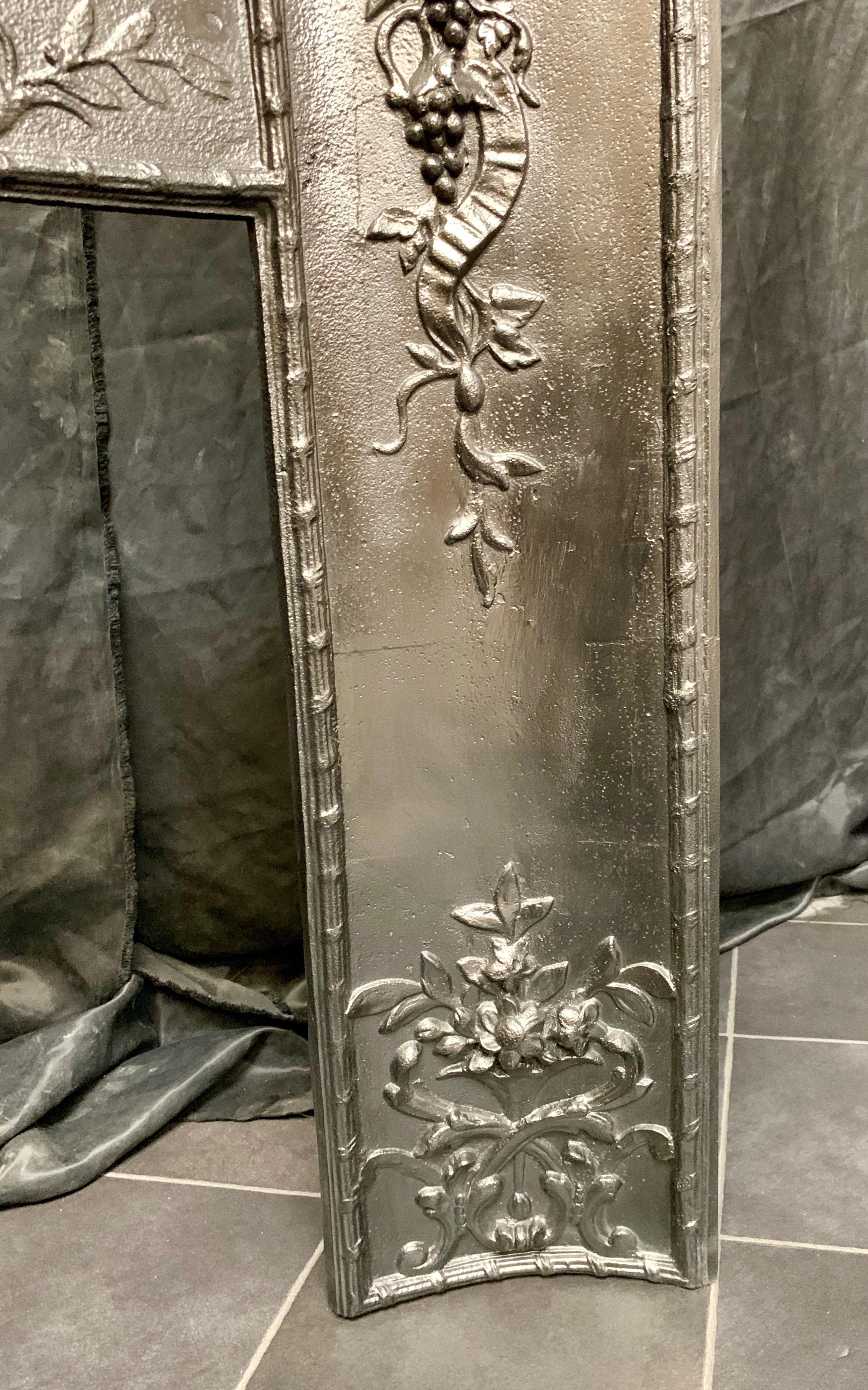 Mid-19th Century French Cast Iron Foliate Fireplace Insert 1