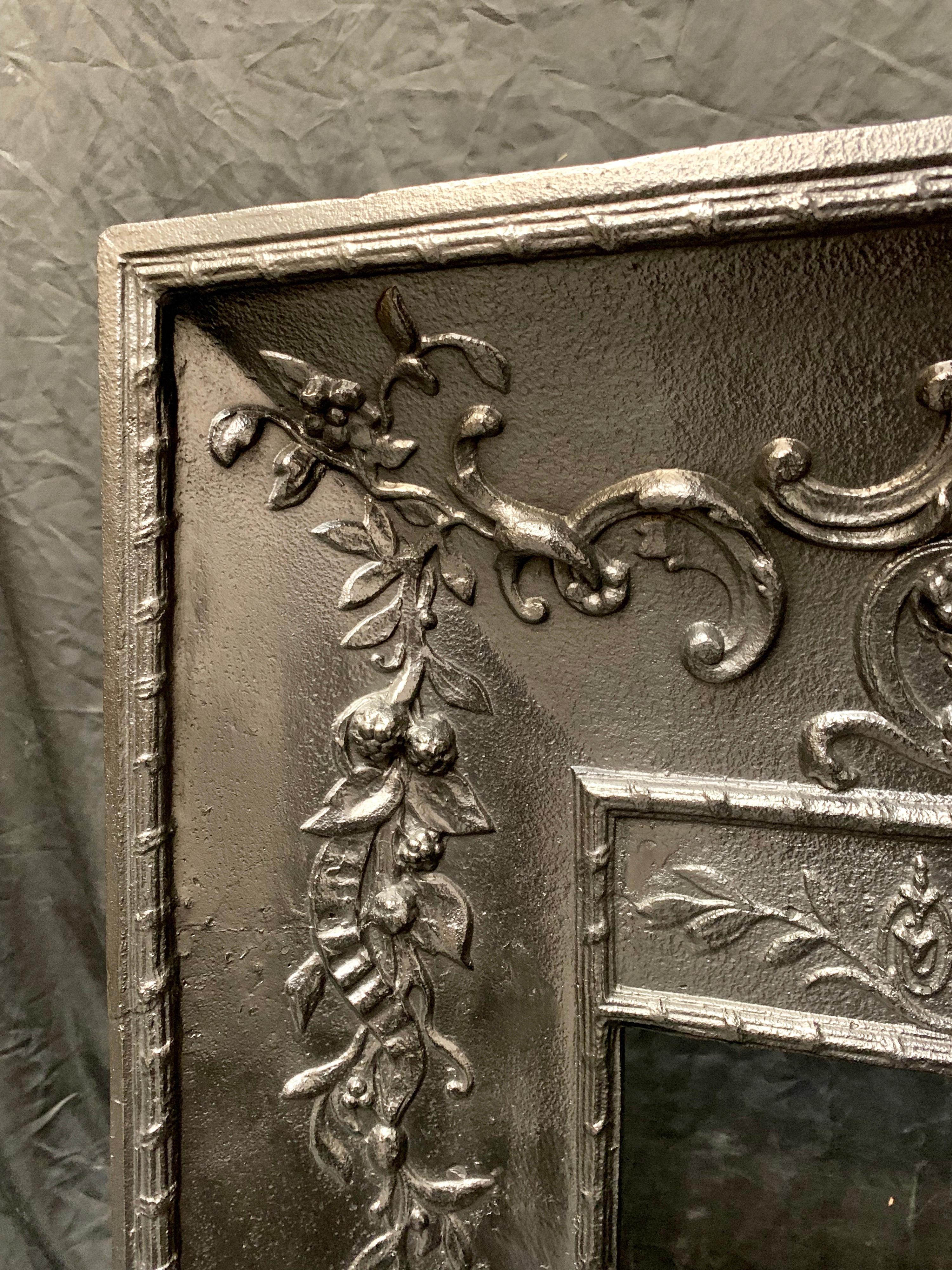 Mid-19th Century French Cast Iron Foliate Fireplace Insert 3