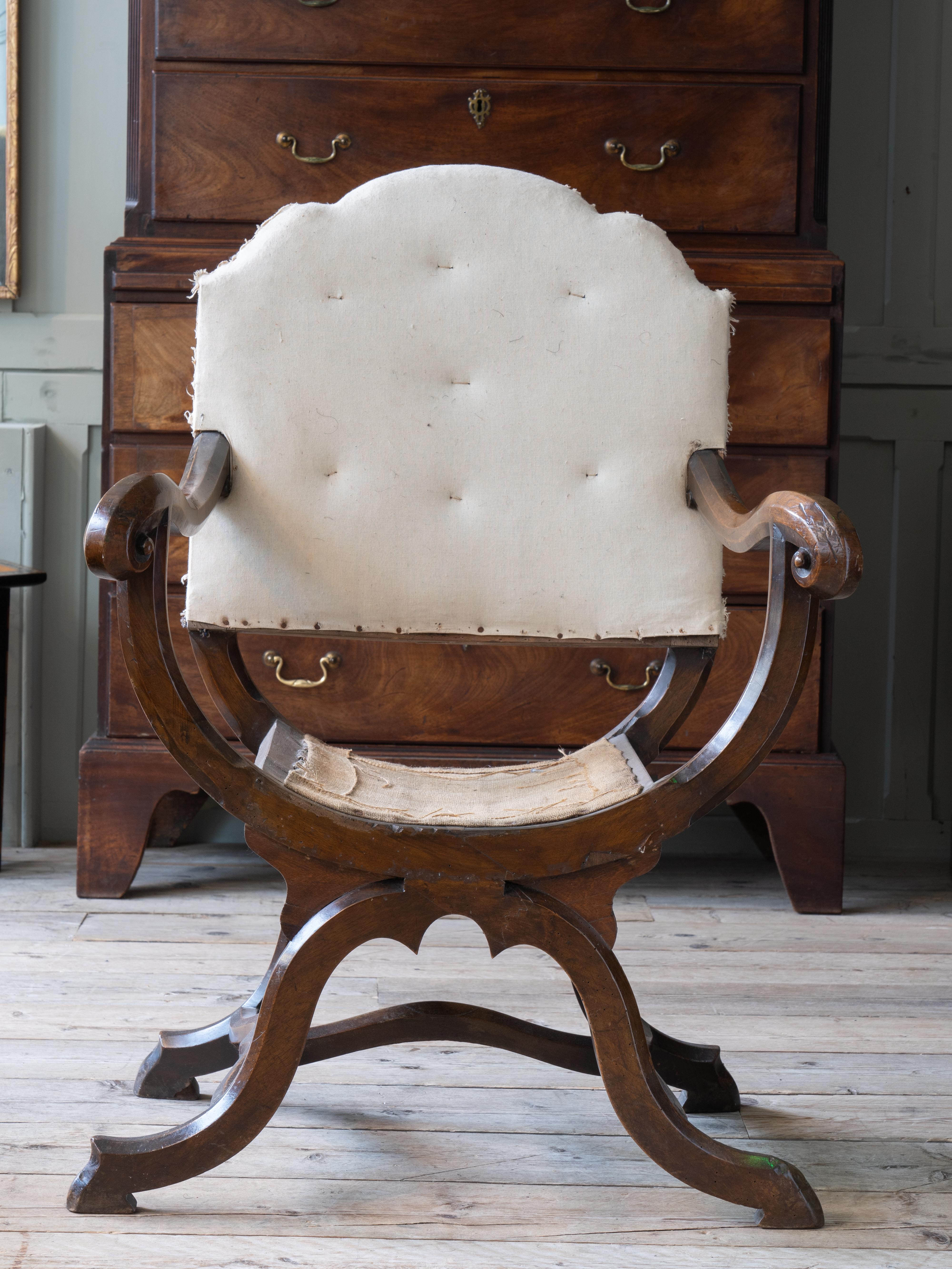 English Mid 19th Century X Frame Armchair