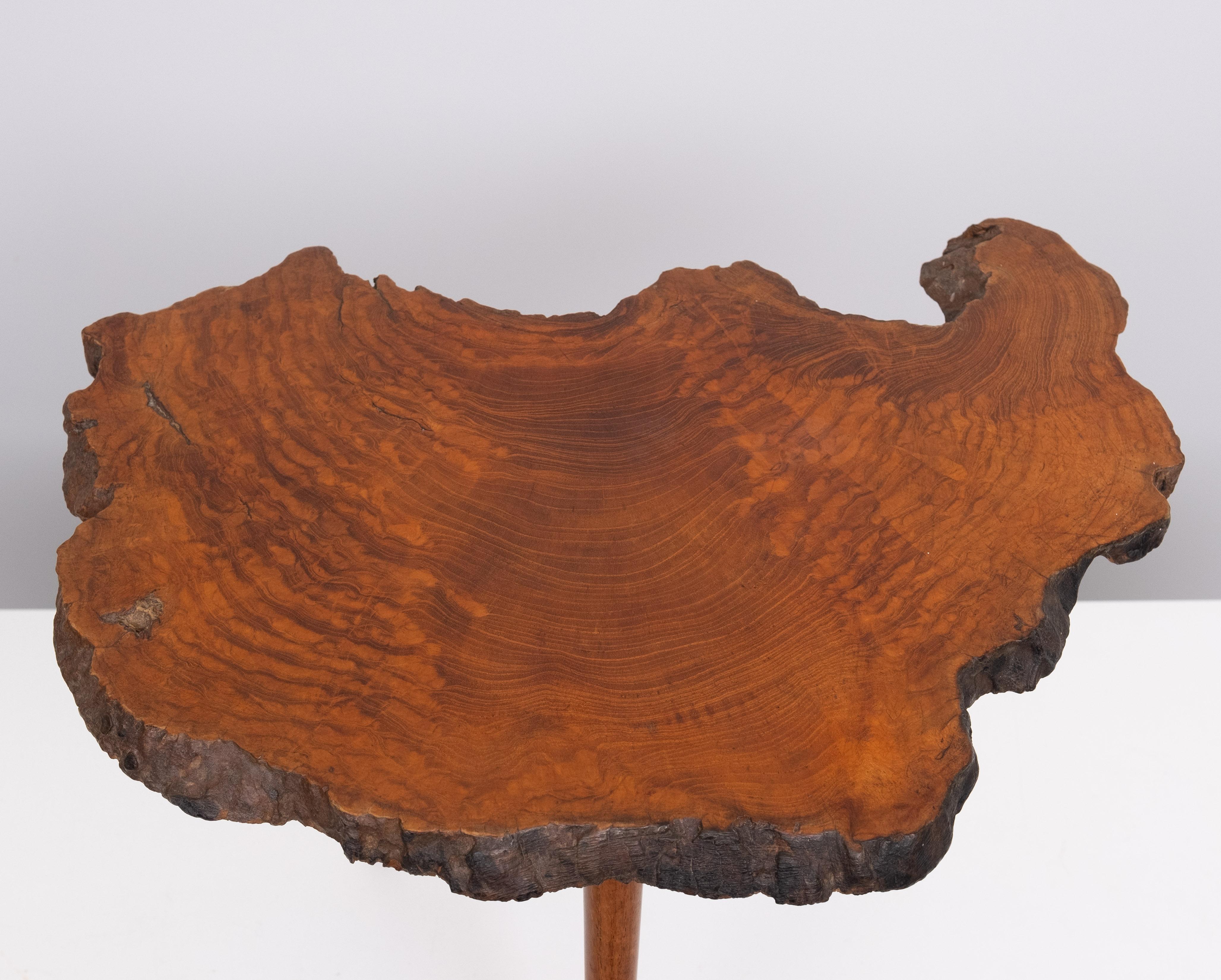 Tronc d'arbre du milieu du 20e siècle  table d'appoint. Bon état - En vente à Den Haag, NL
