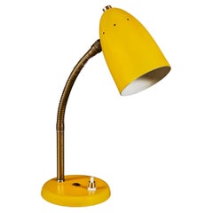 A Mid-Century Brass and Enamel Desk Lamp