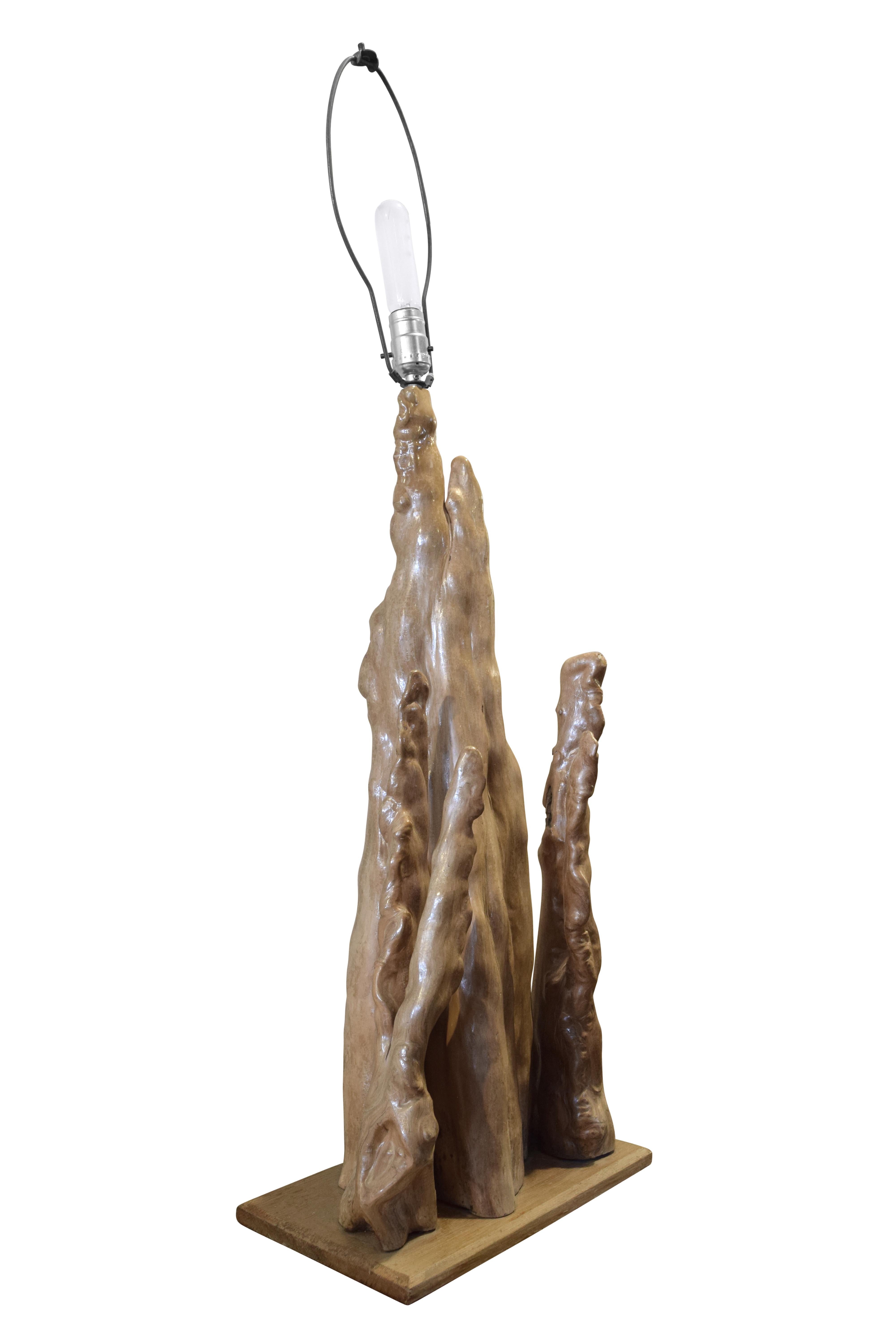 A mid-20th century American cypress burl table lamp with organic form.