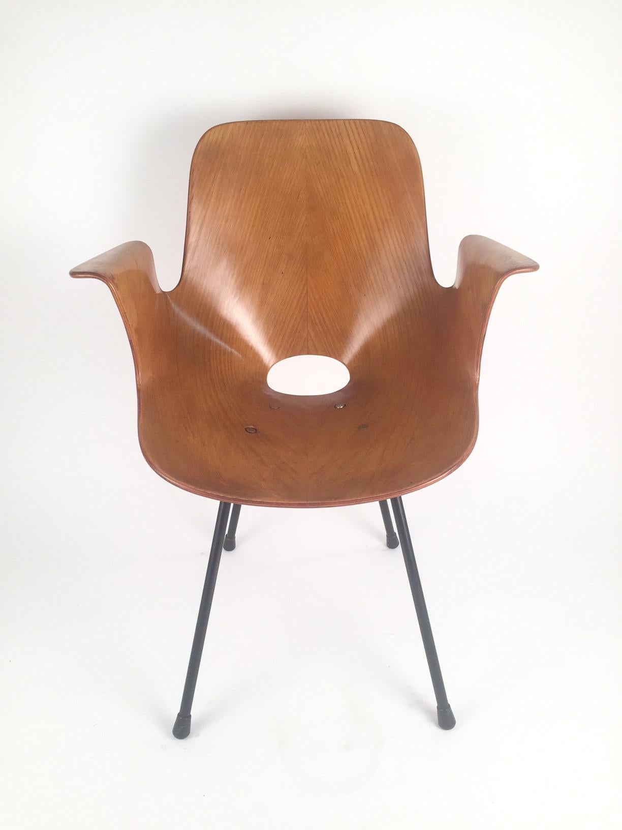Un fauteuil en bois courbé, modèle Medea, conçu par Vittorio Nobili et édité par Fratelli Tagliabue dans les années 50.estampillé et entièrement original.
  