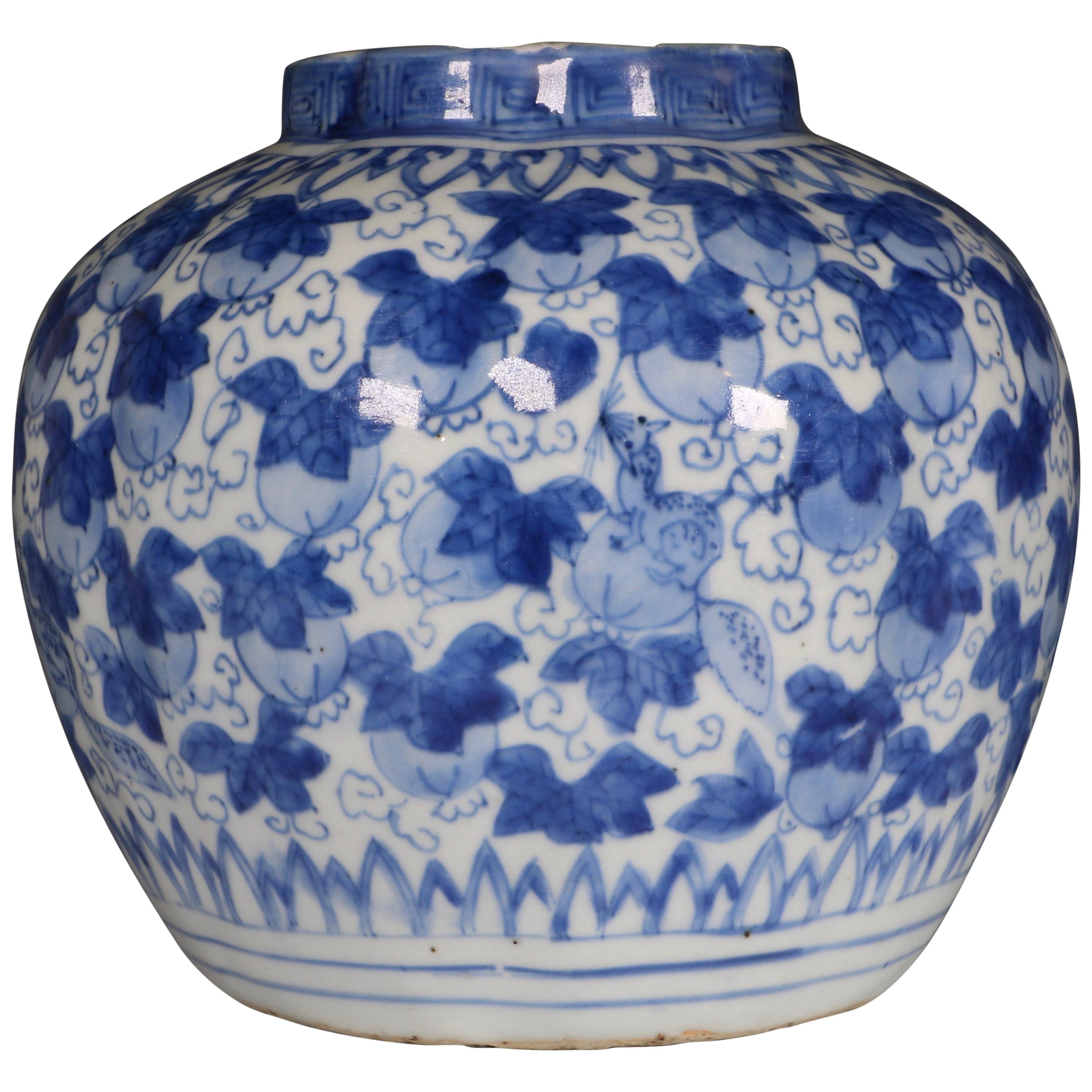 Chinese Porcelain Ming Blue and White Jar Wanli Late 16th Century For Sale