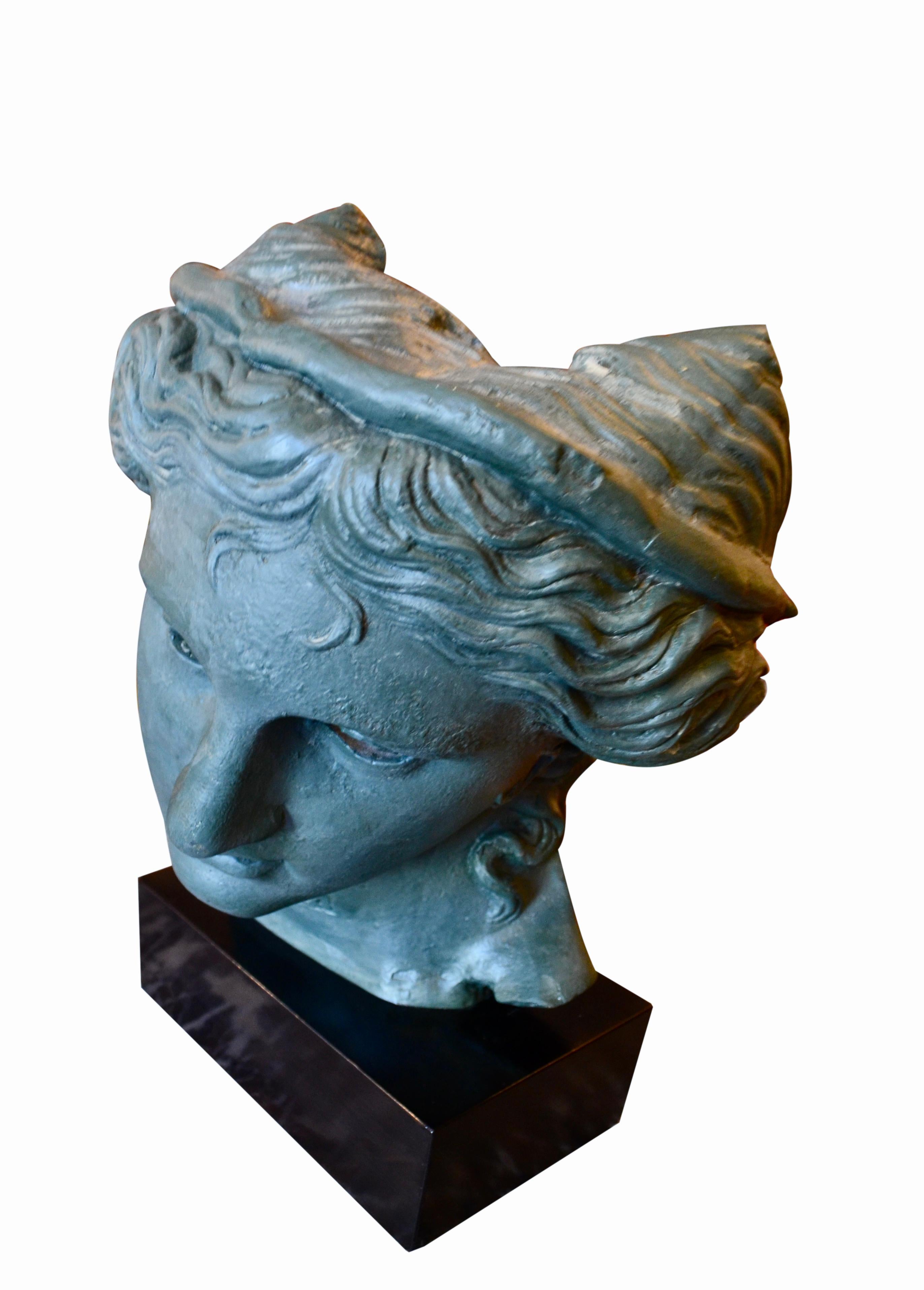 A  stylized classical  bronzed resin bust of Venus  after The Venus de Medici  a Hellenistic marble sculpture depicting the Greek Goddess of love Aphrodite.  The bust sits on an ebonized wooden base.

