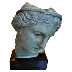 A Modern Stylised  Bronzed Resin Bust of Venus