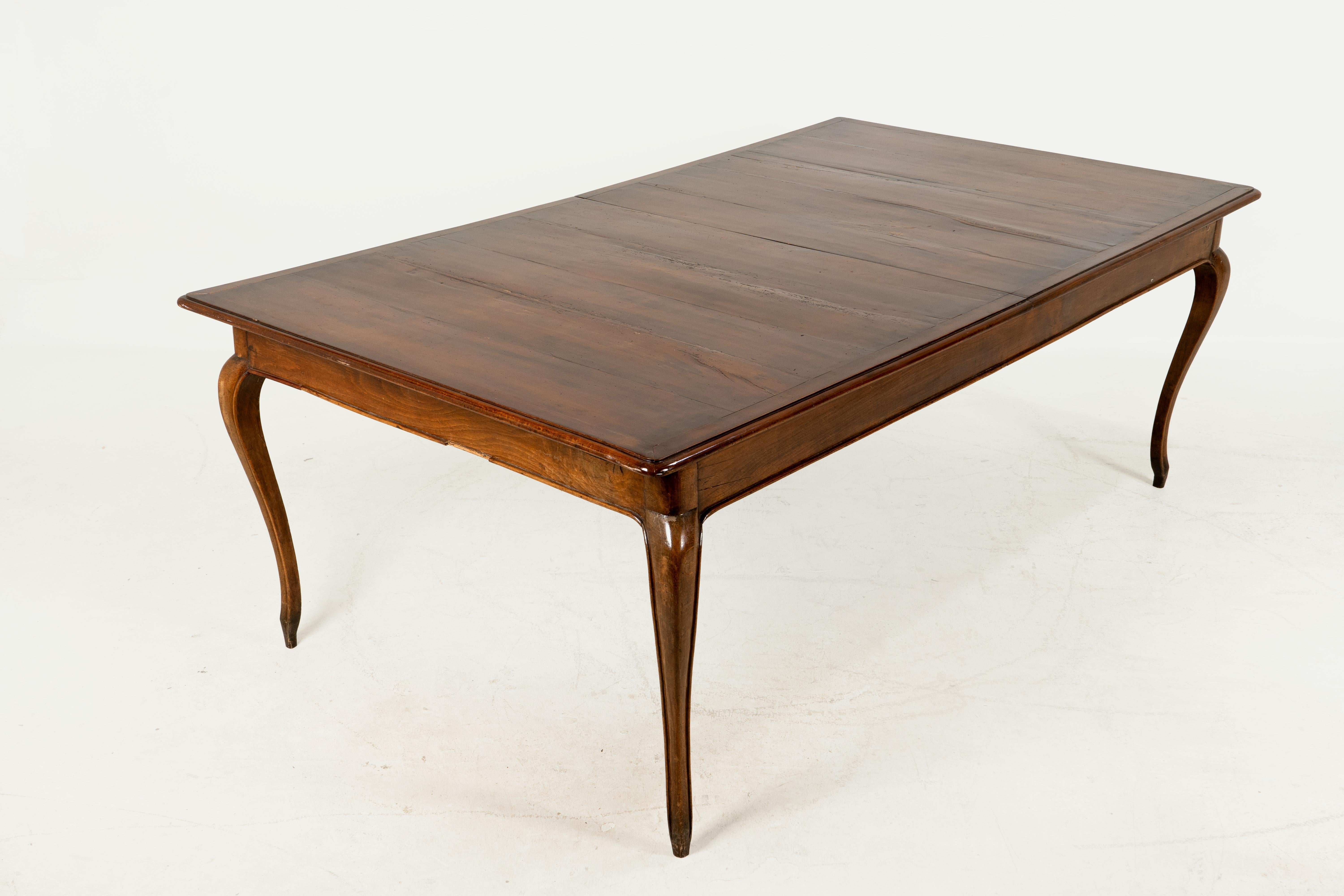 Peuplier Table de salle à manger monumentale en vente