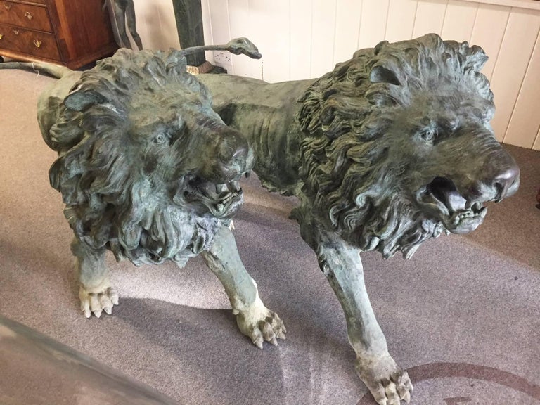 An incredibly rare pair of lifesize bronze Lions.

English, circa 1860.

These lions were recently obtained from an English Country Estate where they had resided exposed to the elements for decades.

These grand tour bronzes have a high copper