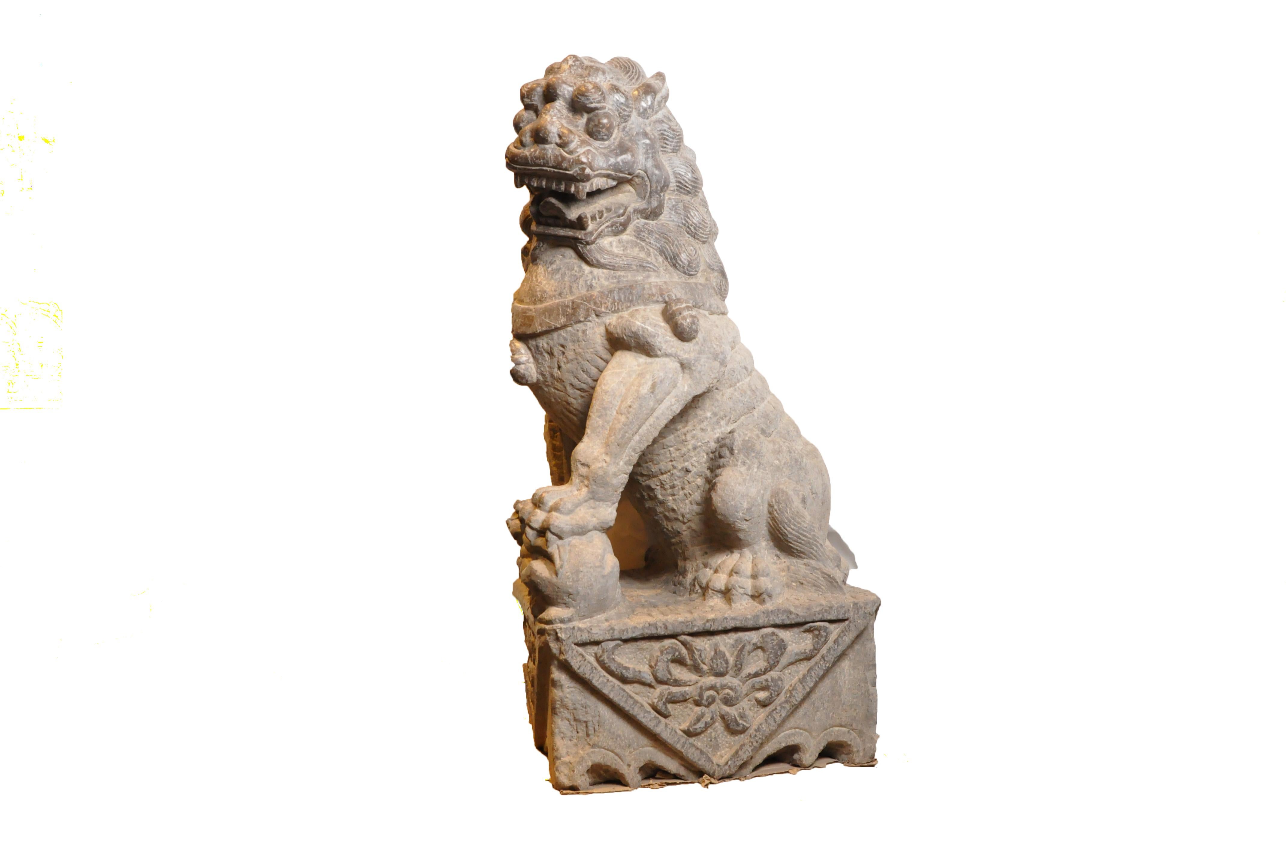 Monumental Pair of Carved Stone Fu Dogs 5