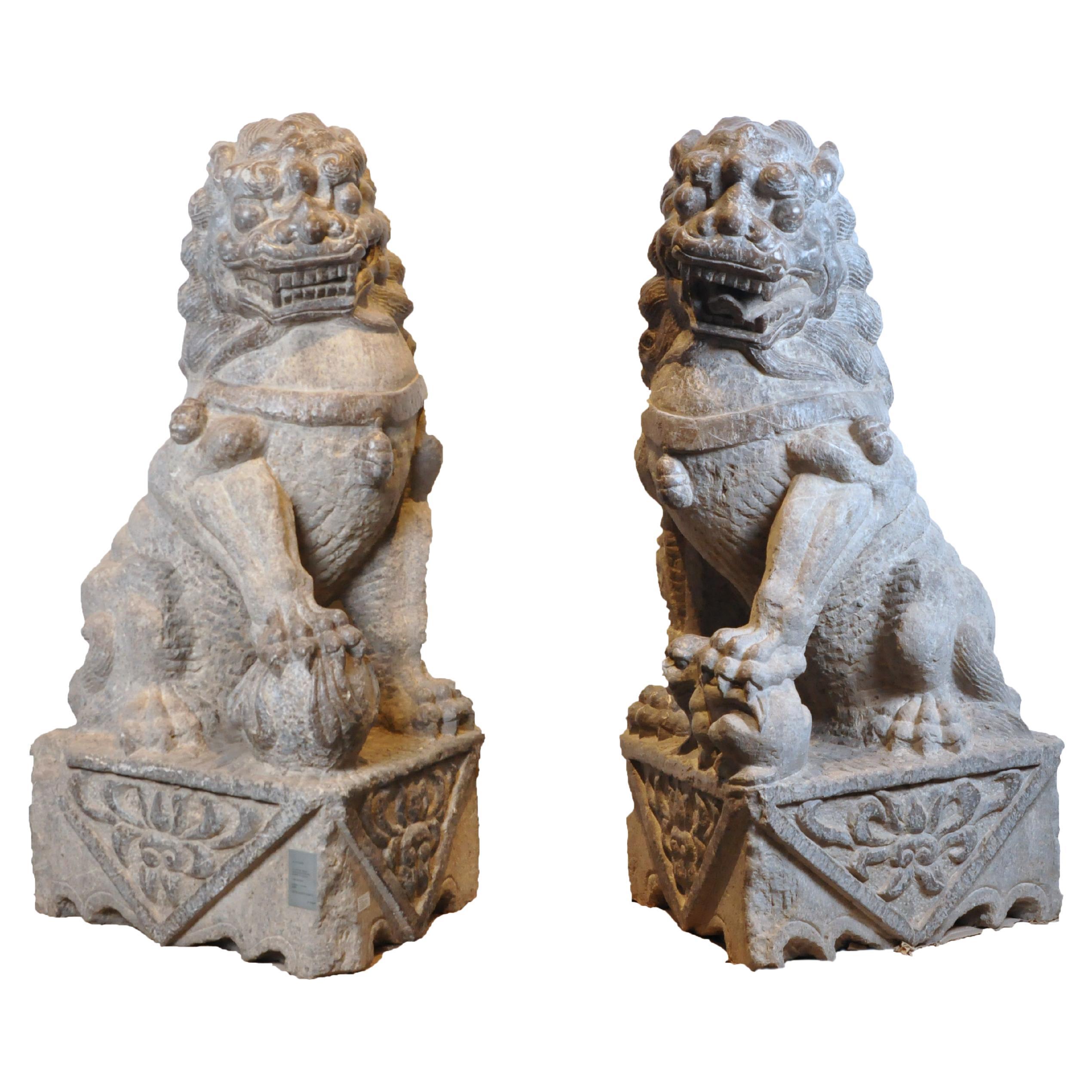 Monumental Pair of Carved Stone Fu Dogs