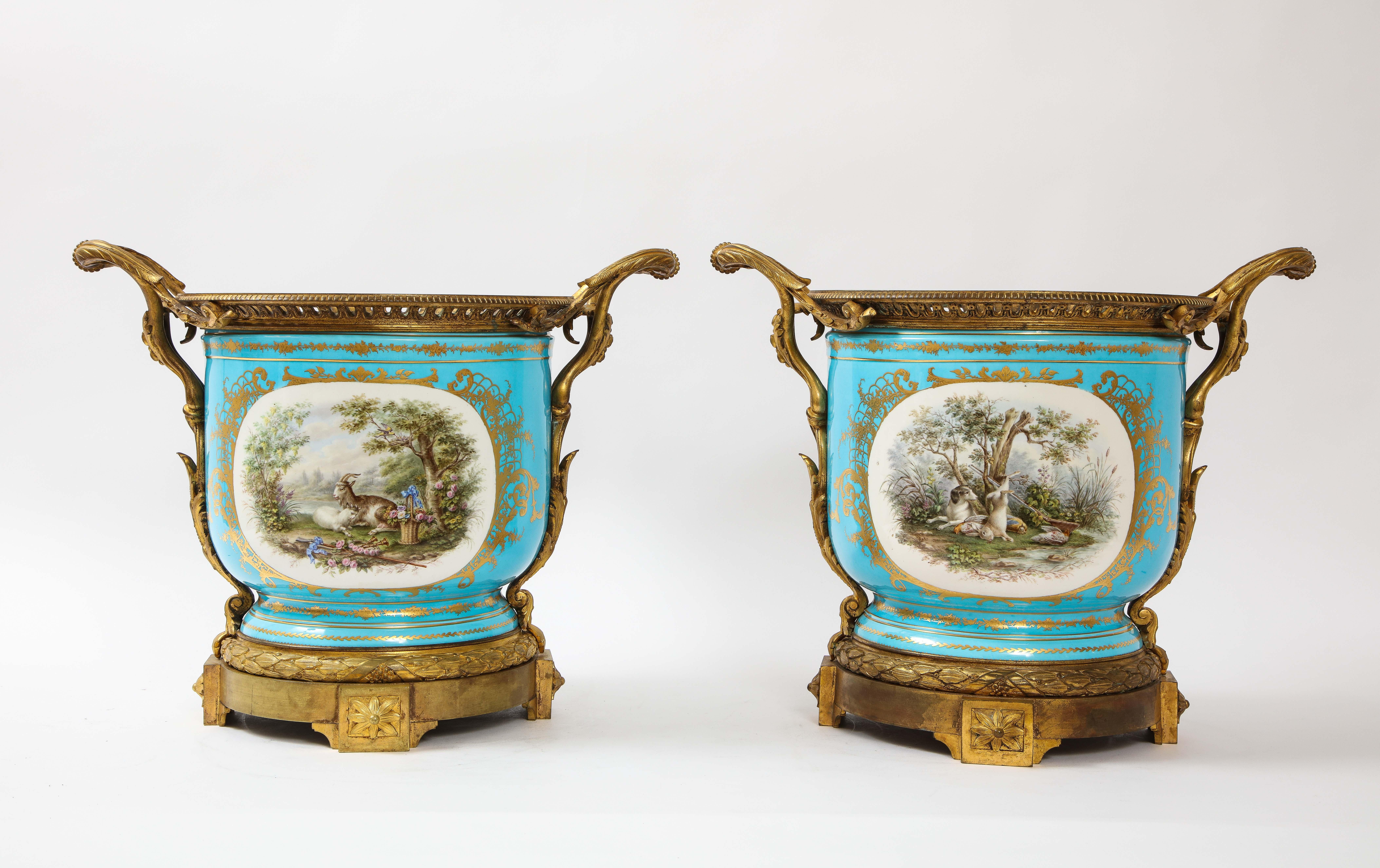 A monumental and rare pair of 19th century French dore bronze mounted Sèvres Celeste blue porcelain cachepots. These cache pots are extremely rare to find in this monumental size. Each is hand painted in a celest blue ground with two sides of