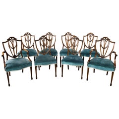 Antique Most Attractive Set of 8 '6+2' Early 20th Century Hepplewhite Chairs