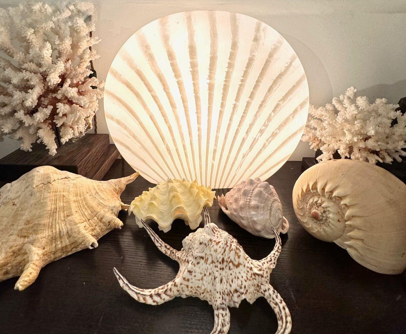 A Murano glass shell lamp by Peill and Putzler 11