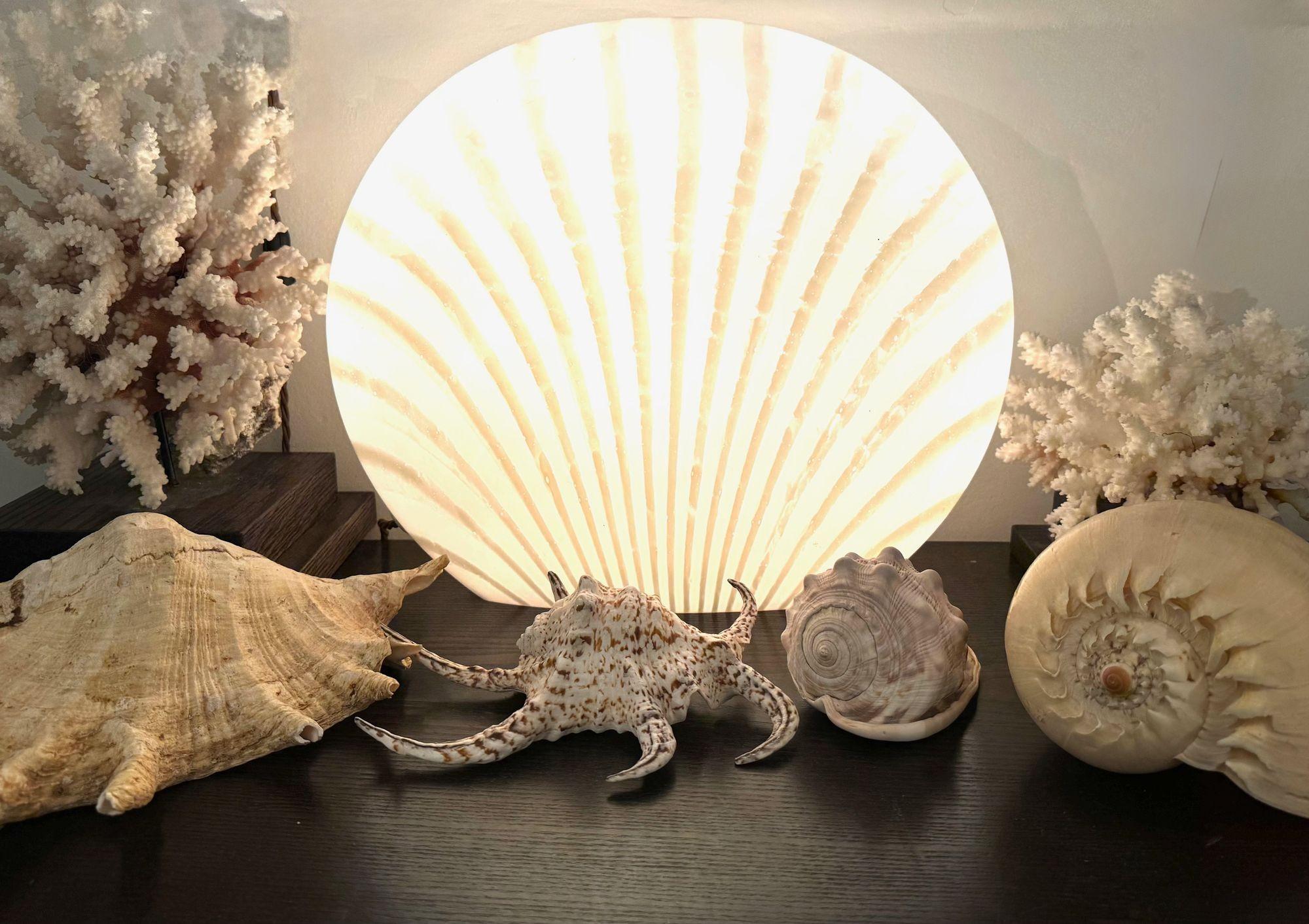 A Murano glass shell lamp by Peill and Putzler 2