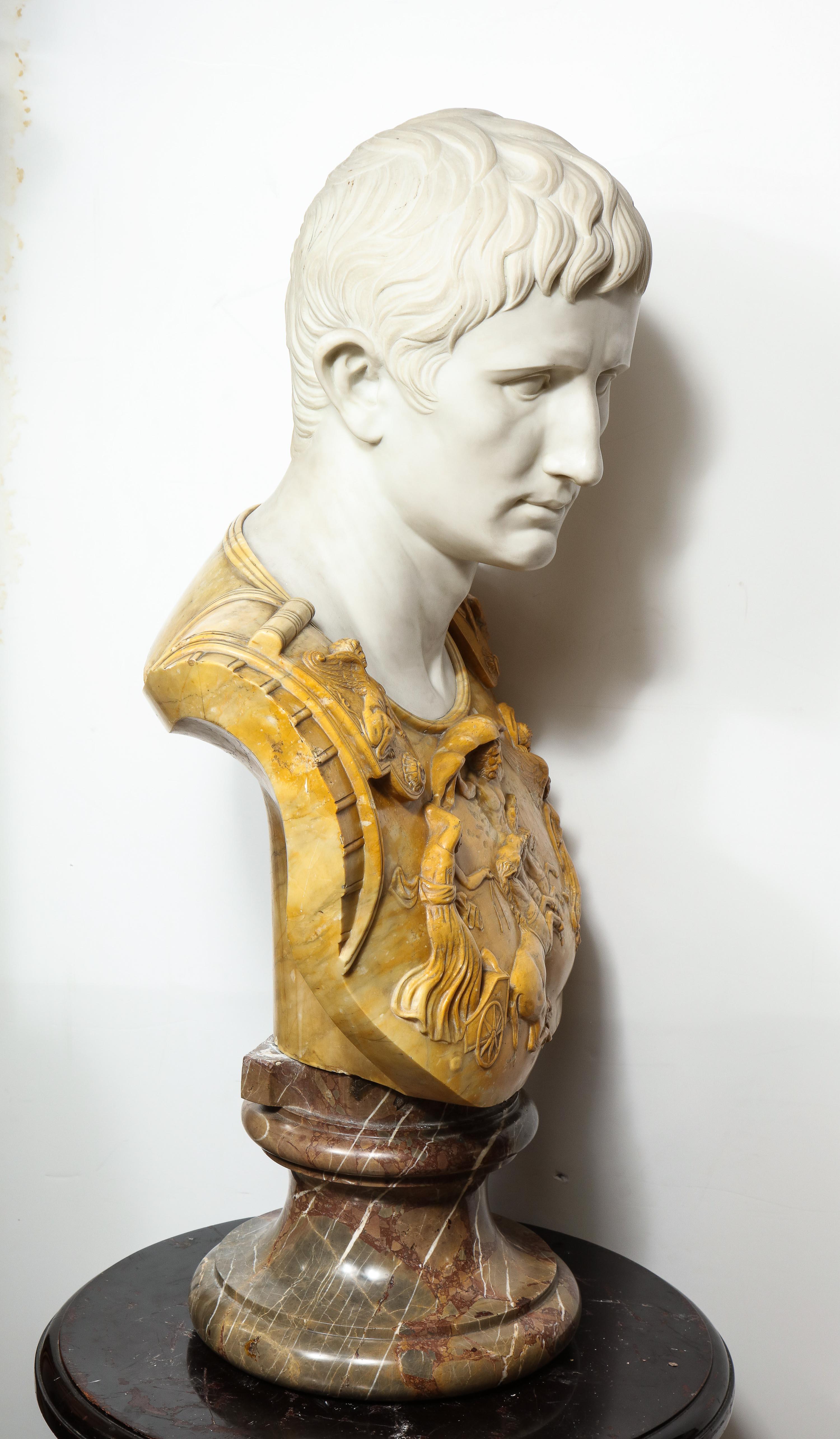 Carrara Marble Museum Quality Carrara and Sienna Marble Bust of Julius Augustus Caesar, 1850